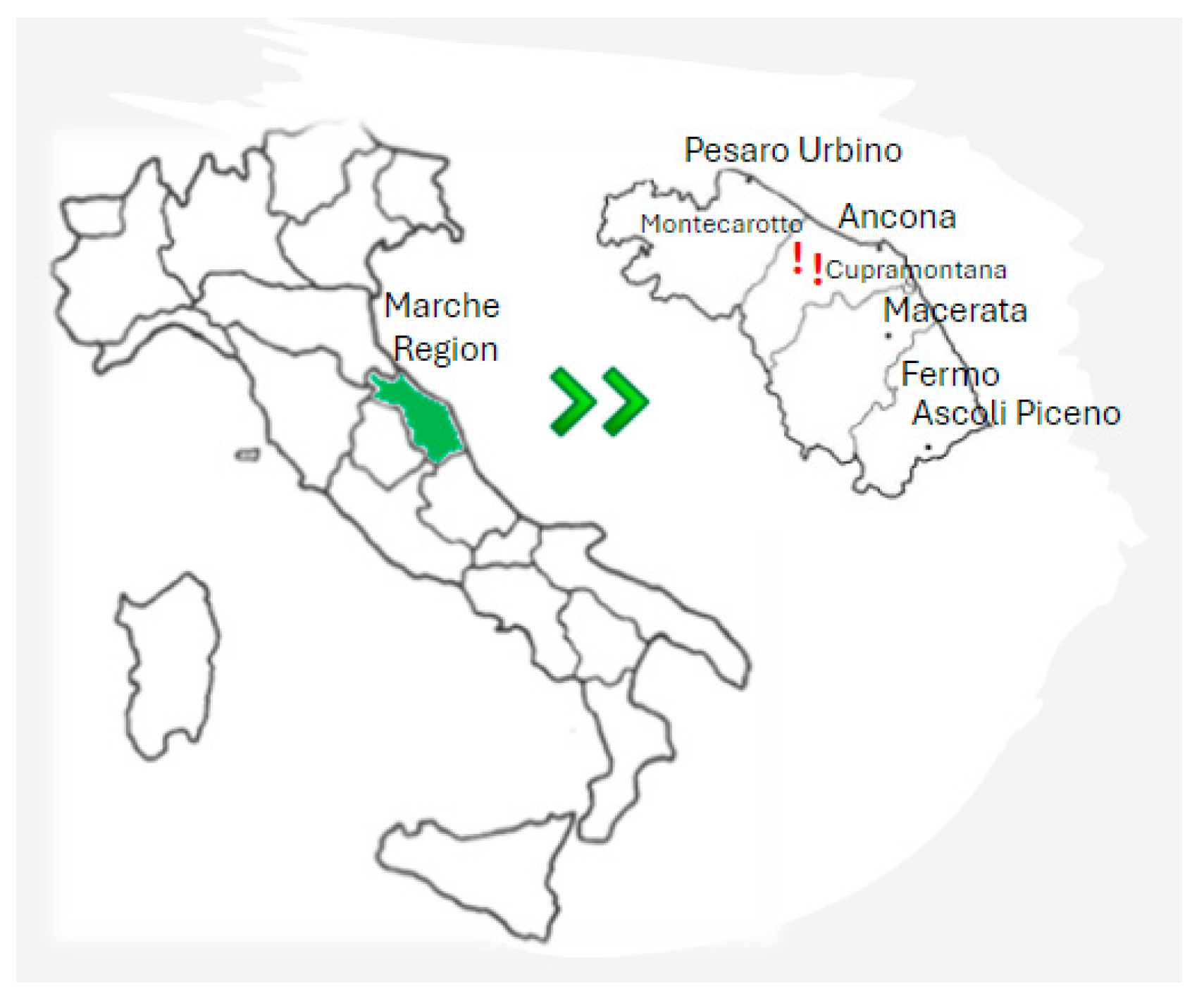 Microorganisms 12 01494 g001