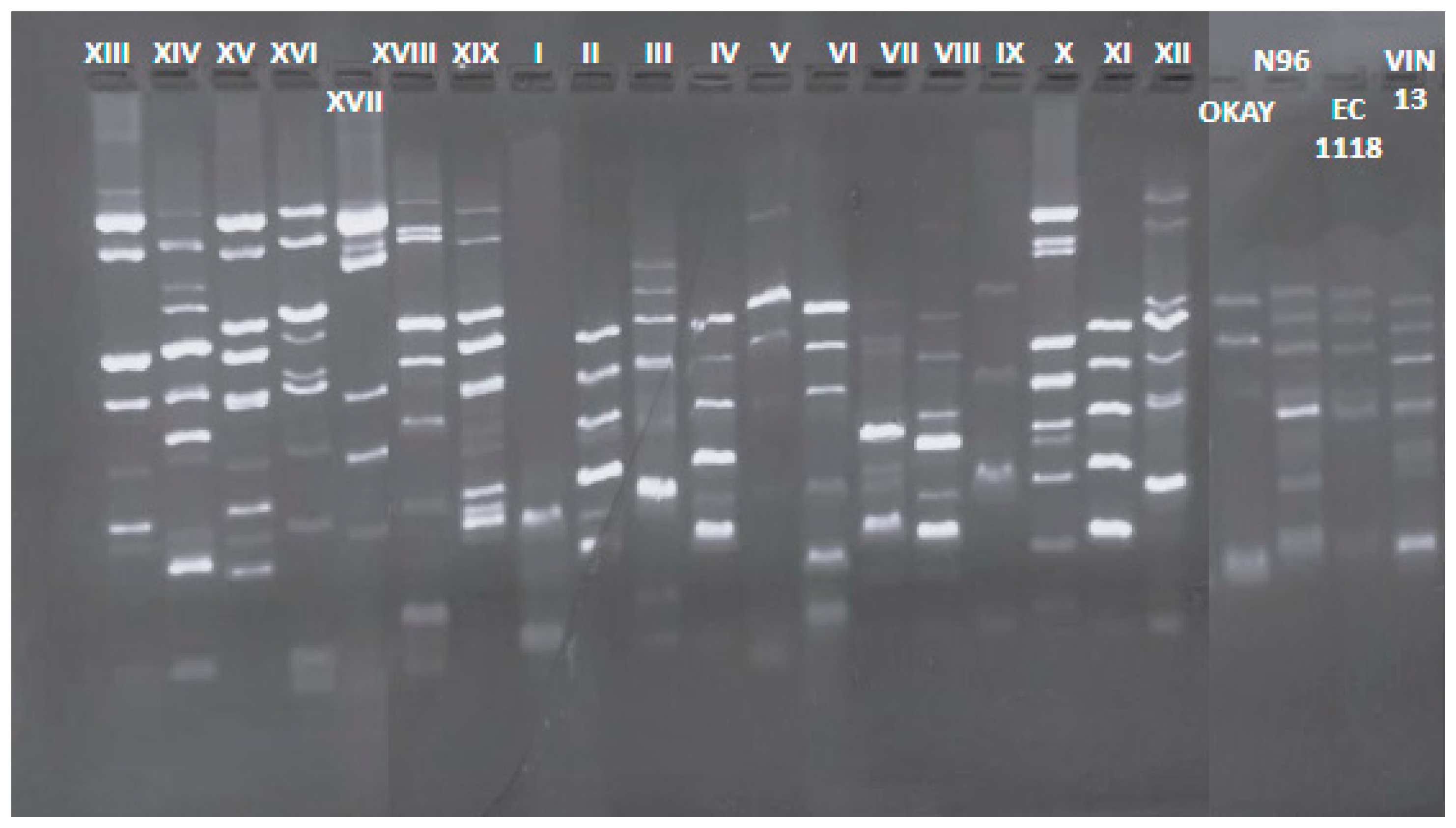 Microorganisms 12 01494 g002