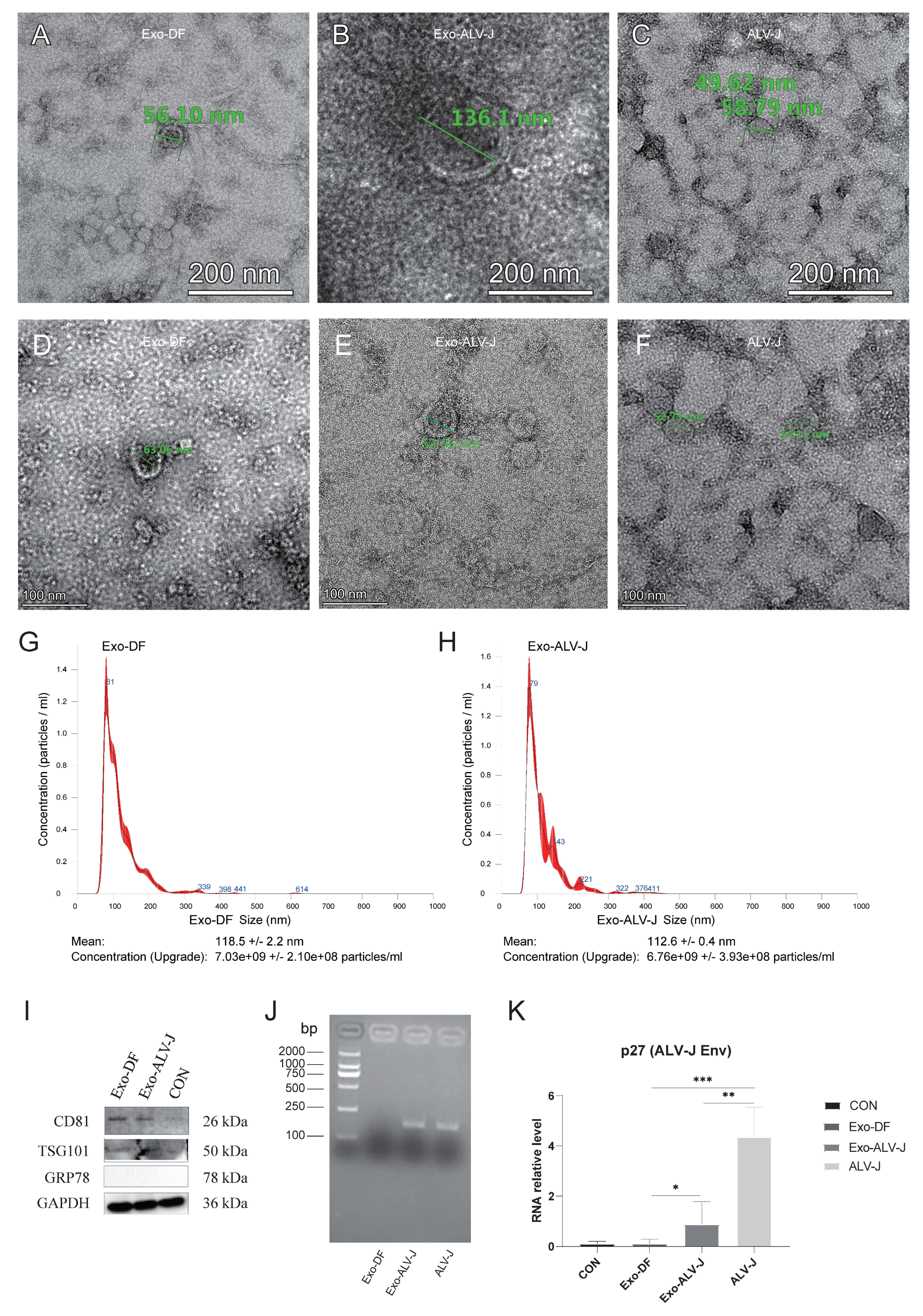 Microorganisms 12 01495 g001