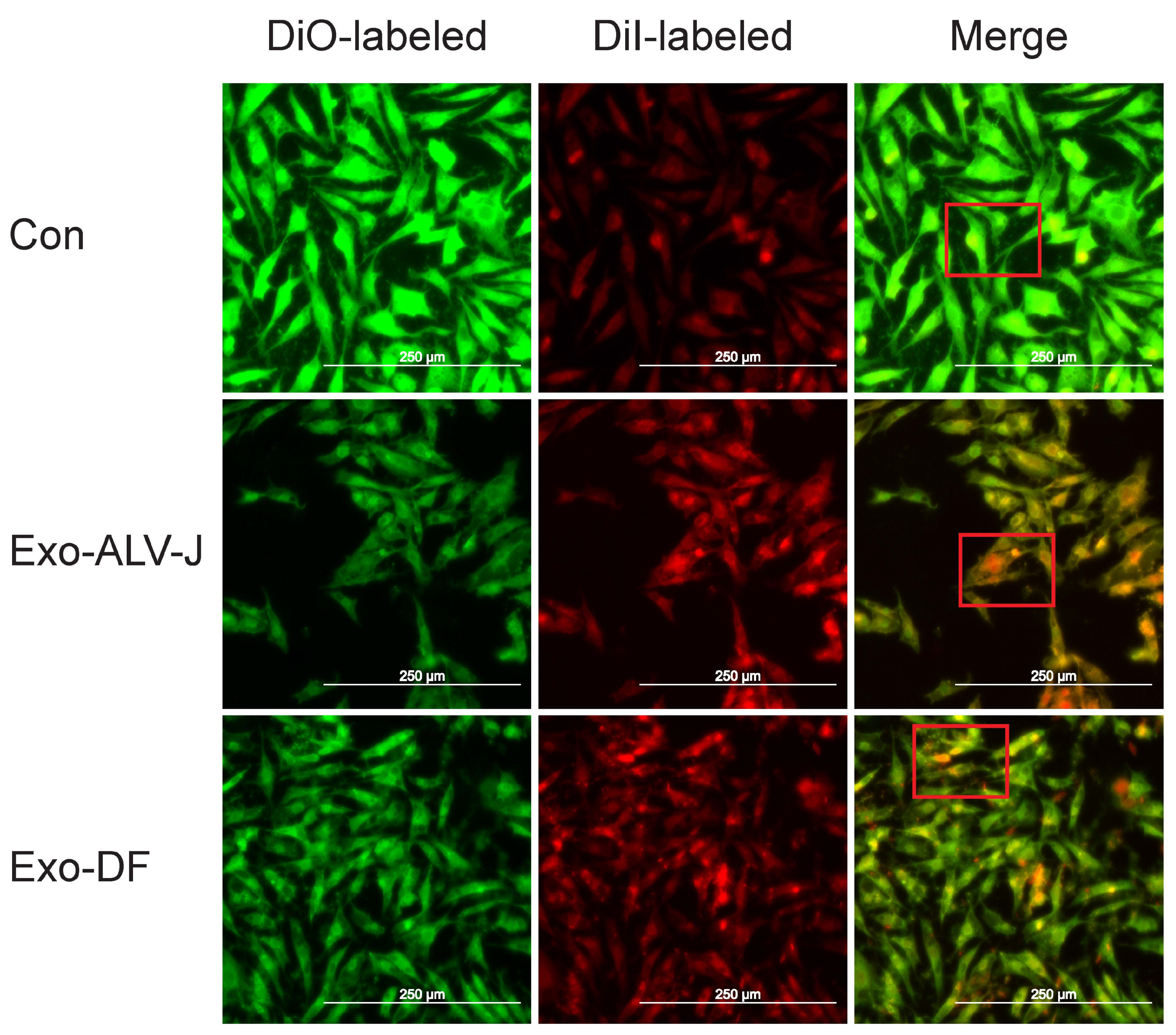 Microorganisms 12 01495 g002