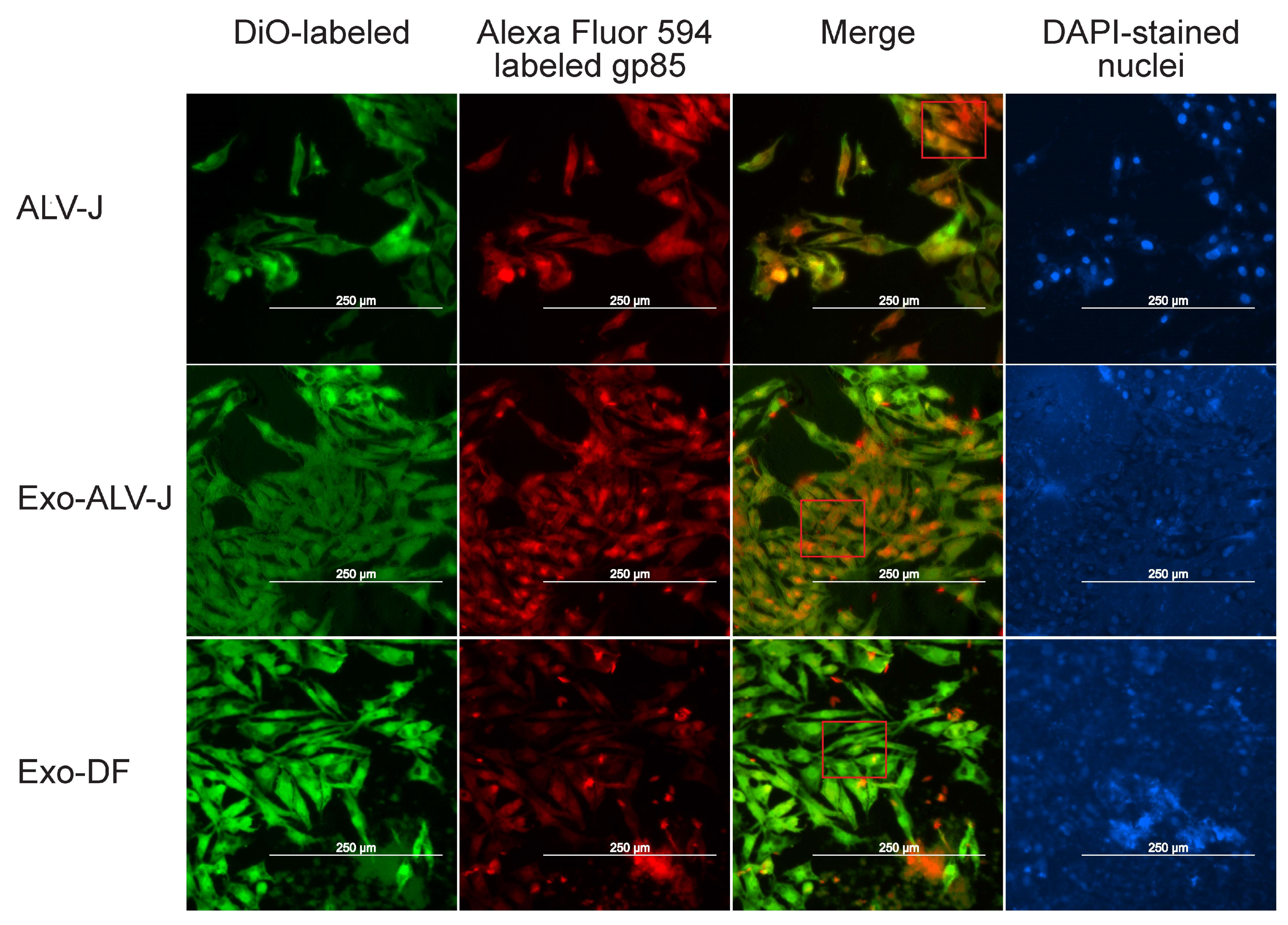 Microorganisms 12 01495 g003