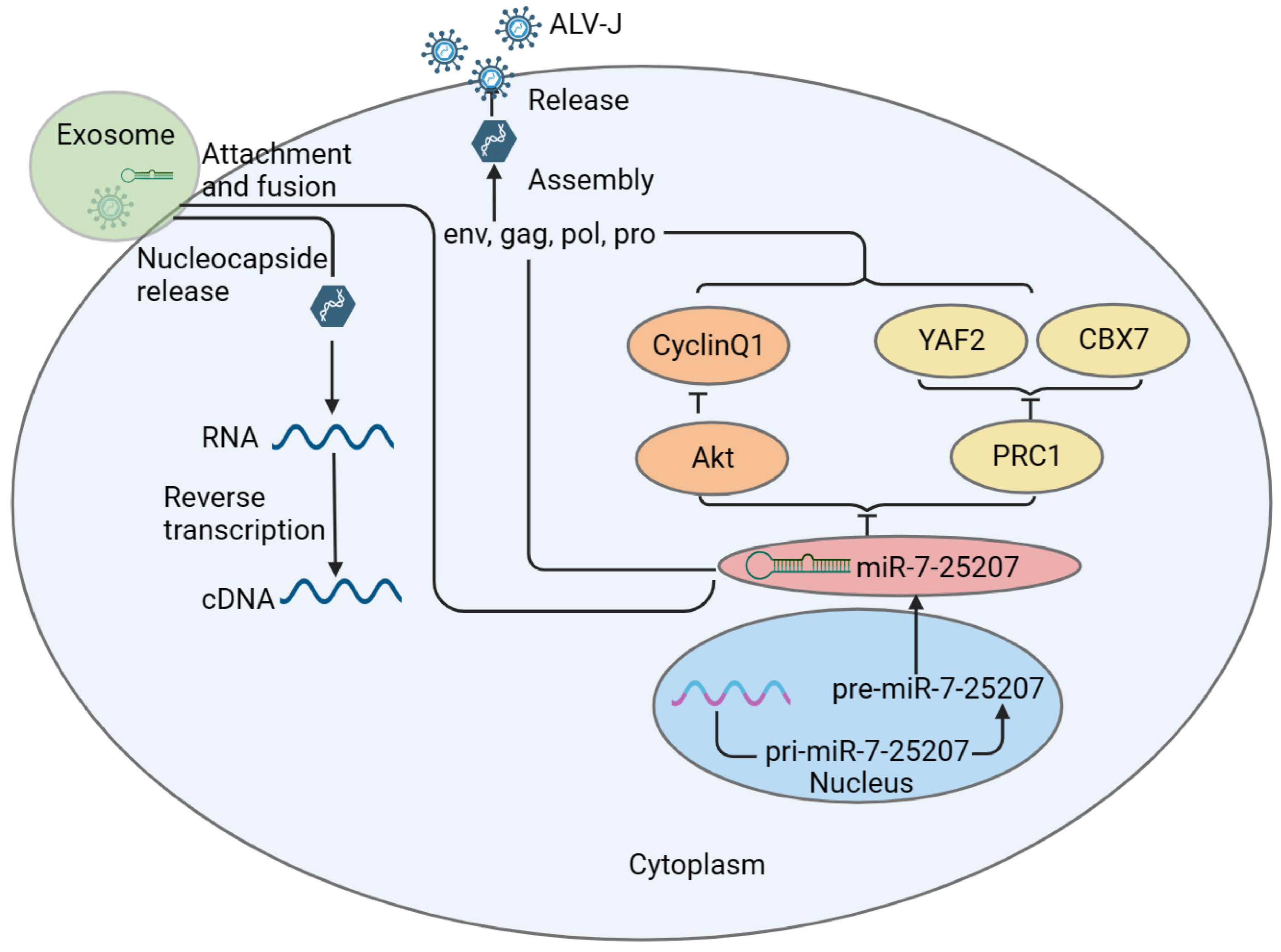 Microorganisms 12 01495 g008