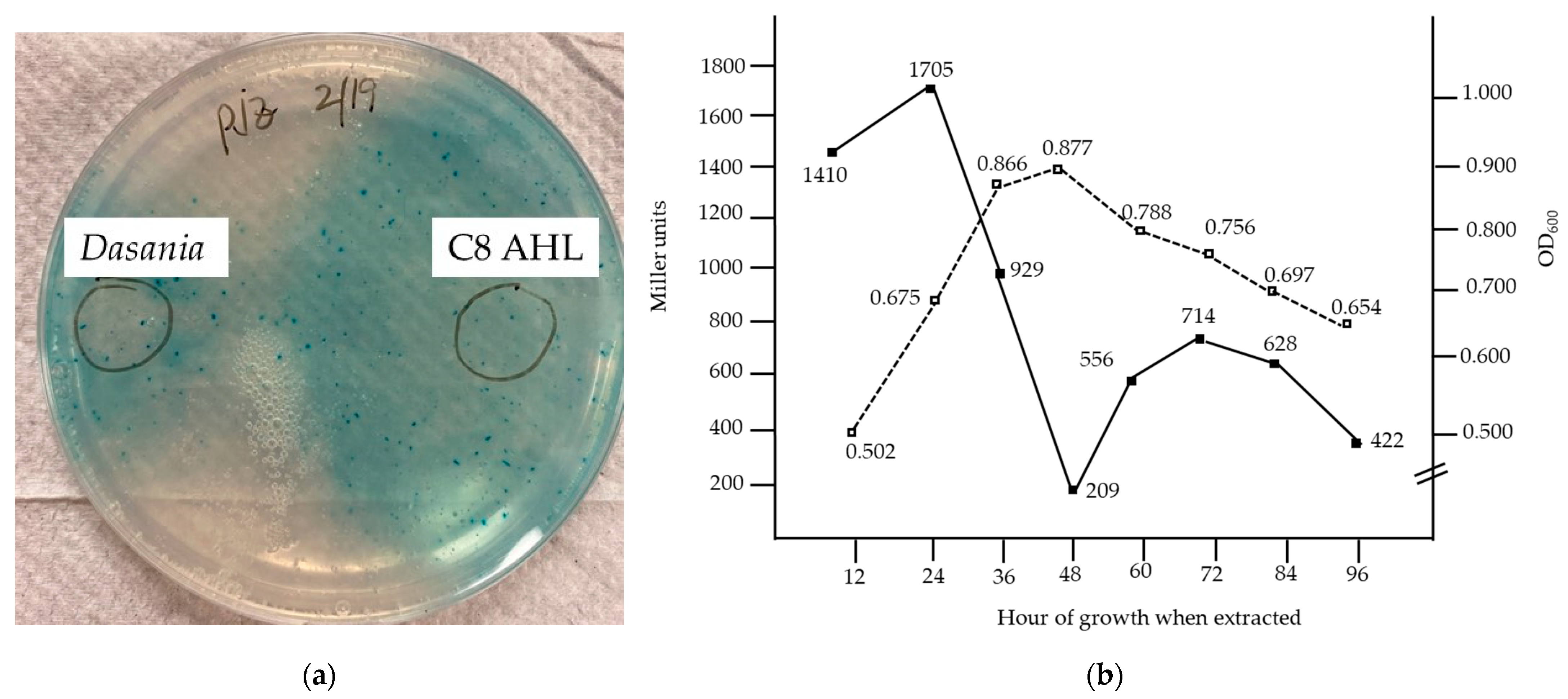 Microorganisms 12 01496 g001