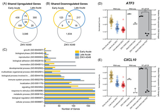 Transcriptomic Signatures of Zika Virus Infection in Patients and