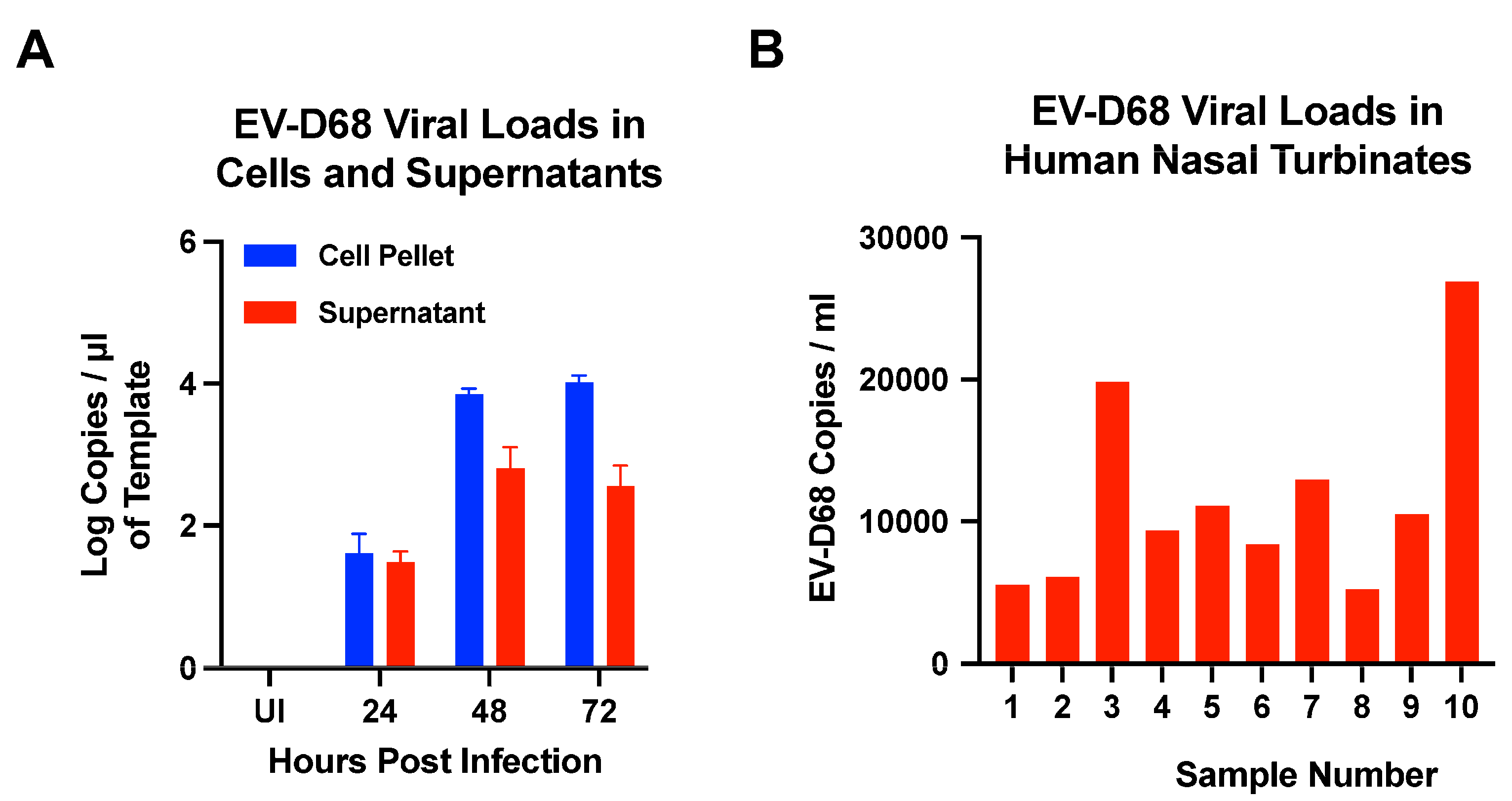 Microorganisms 12 01502 g007 Microorganisms 12 01502 g007