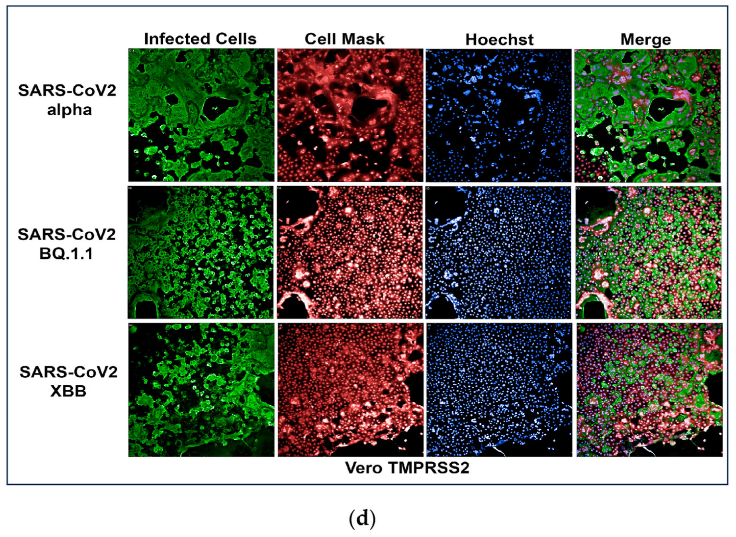 Microorganisms 12 01503 g001b