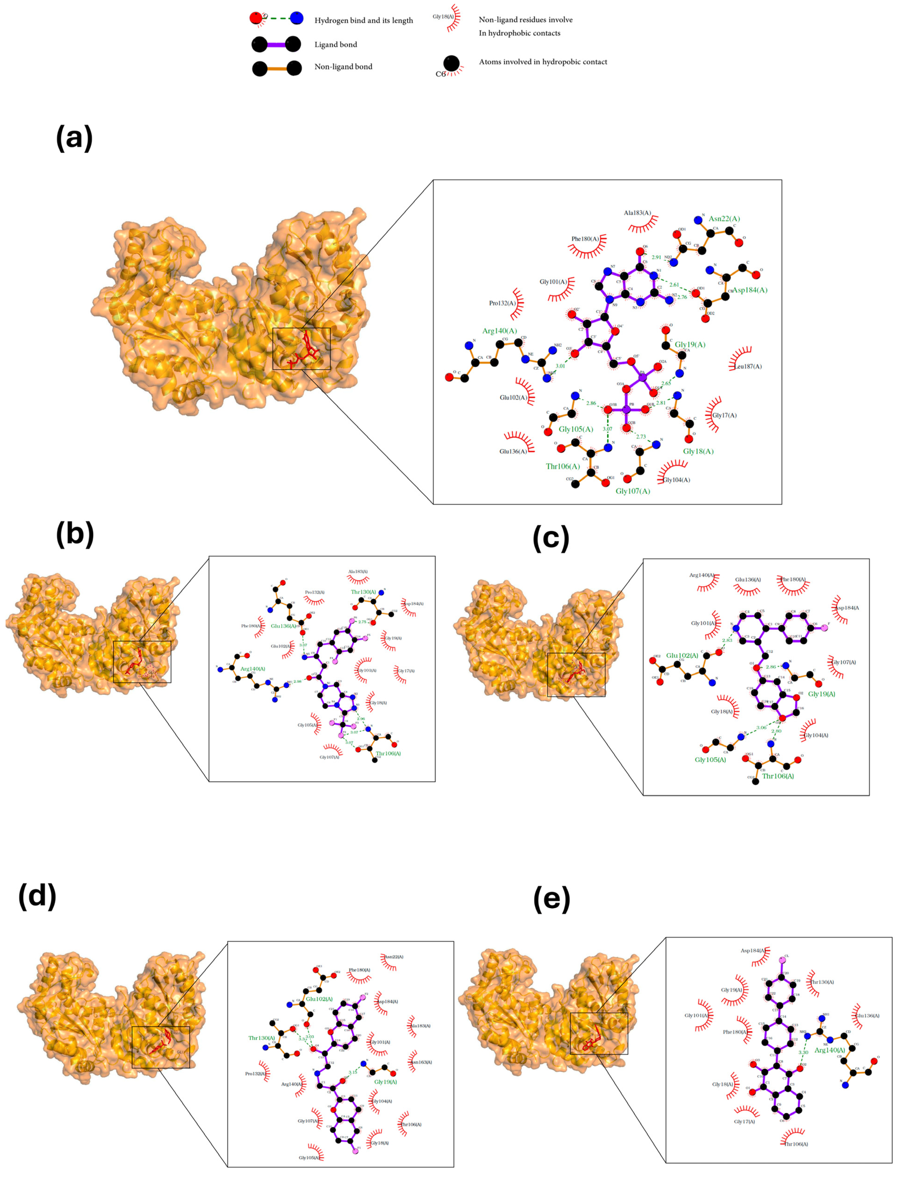Microorganisms 12 01505 g001