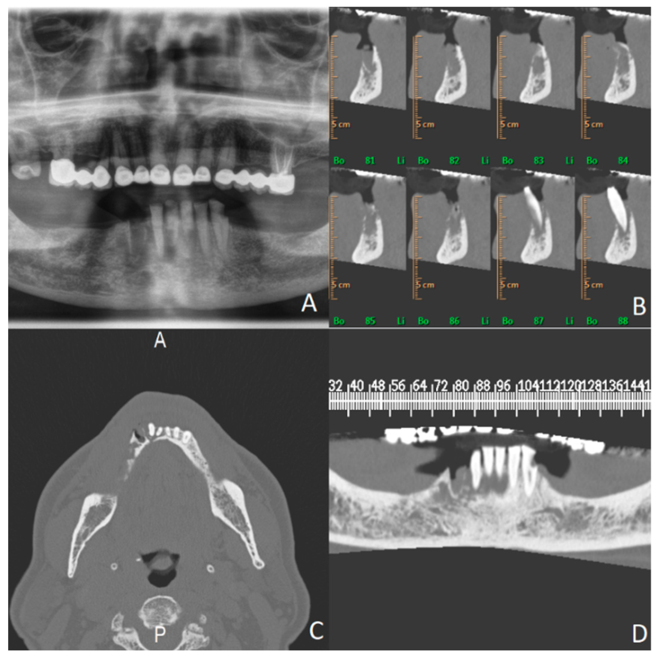 Microorganisms 12 01506 g004 Microorganisms 12 01506 g004