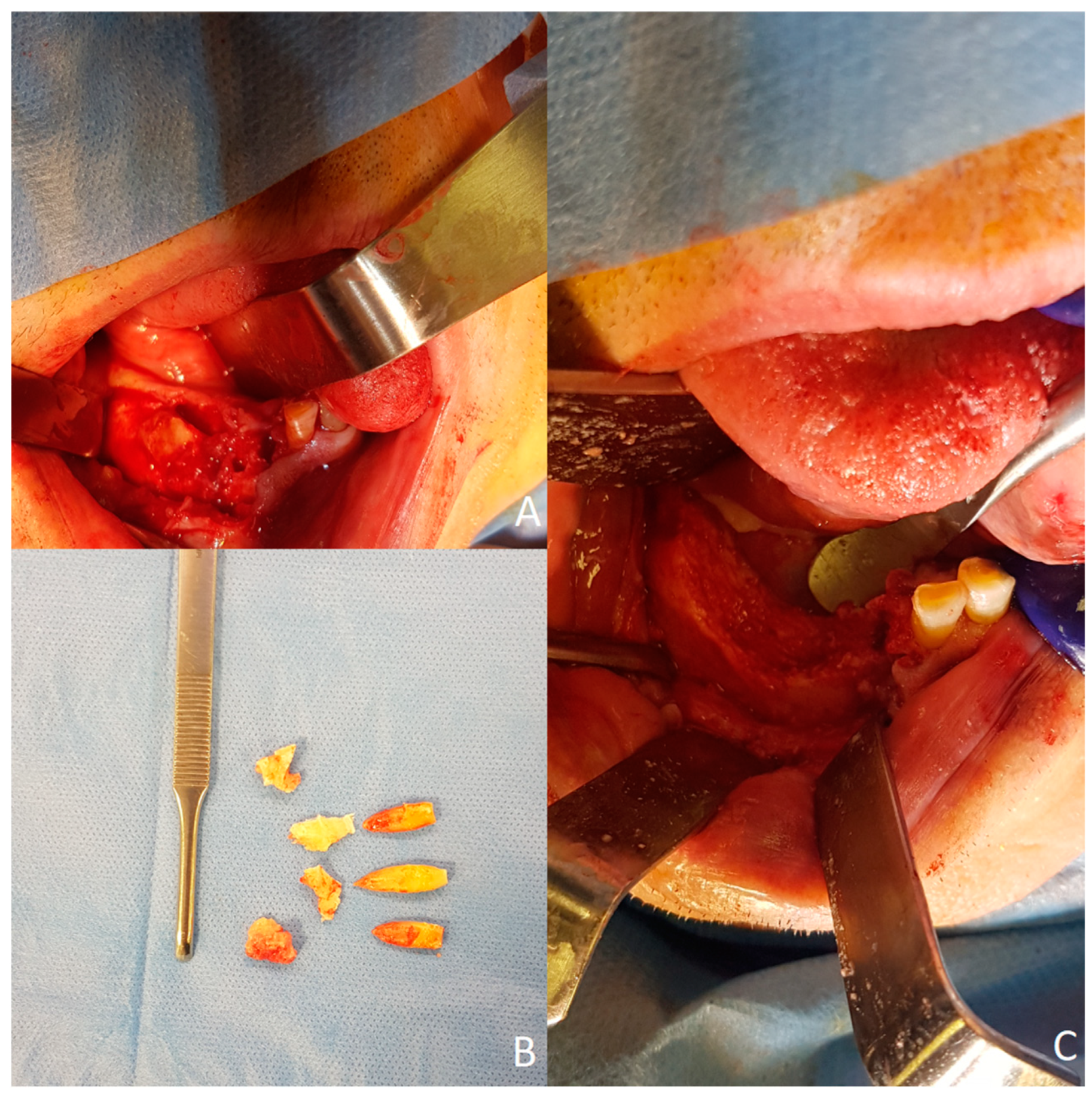 Microorganisms 12 01506 g005 Microorganisms 12 01506 g005