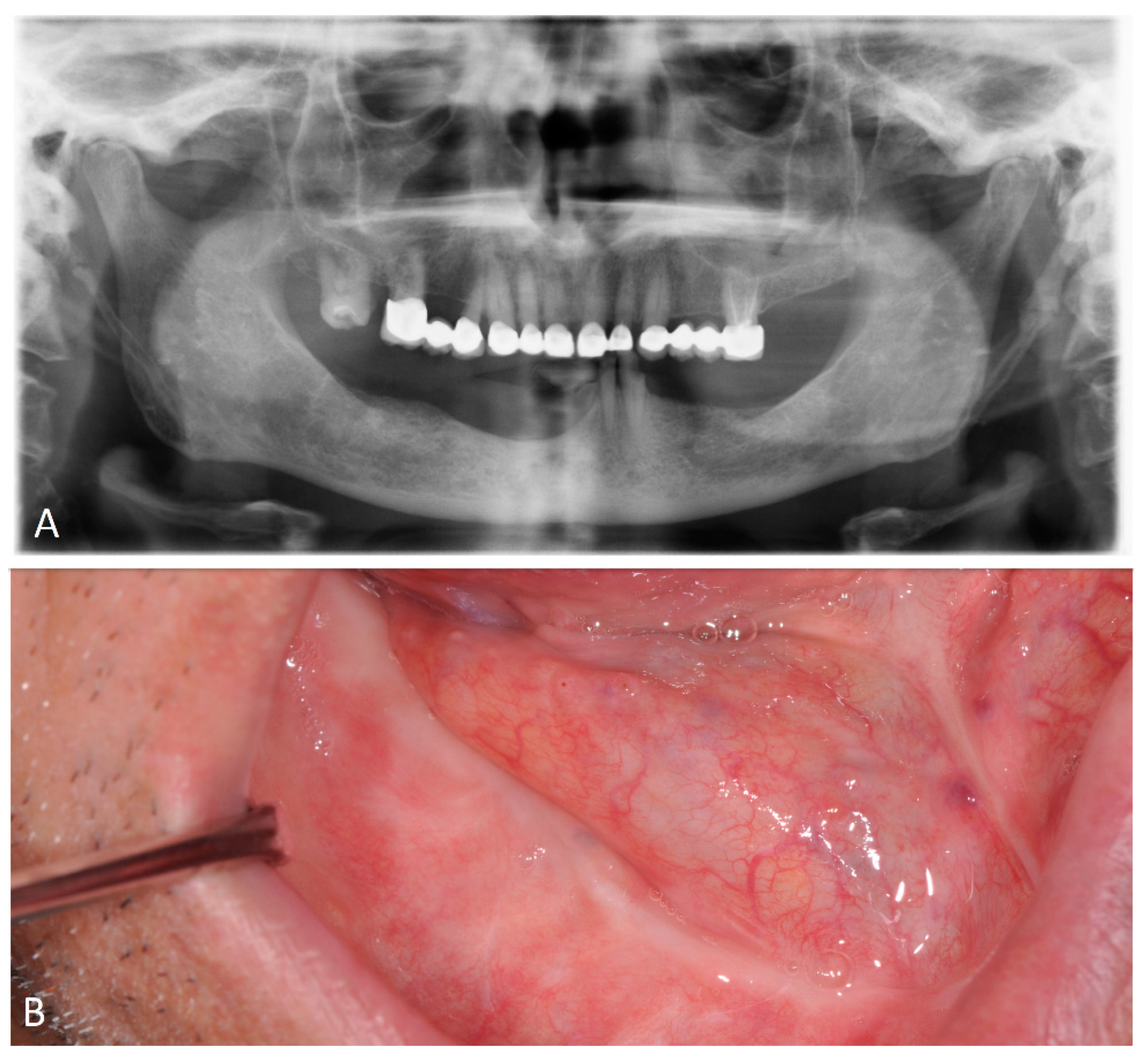 Microorganisms 12 01506 g006 Microorganisms 12 01506 g006