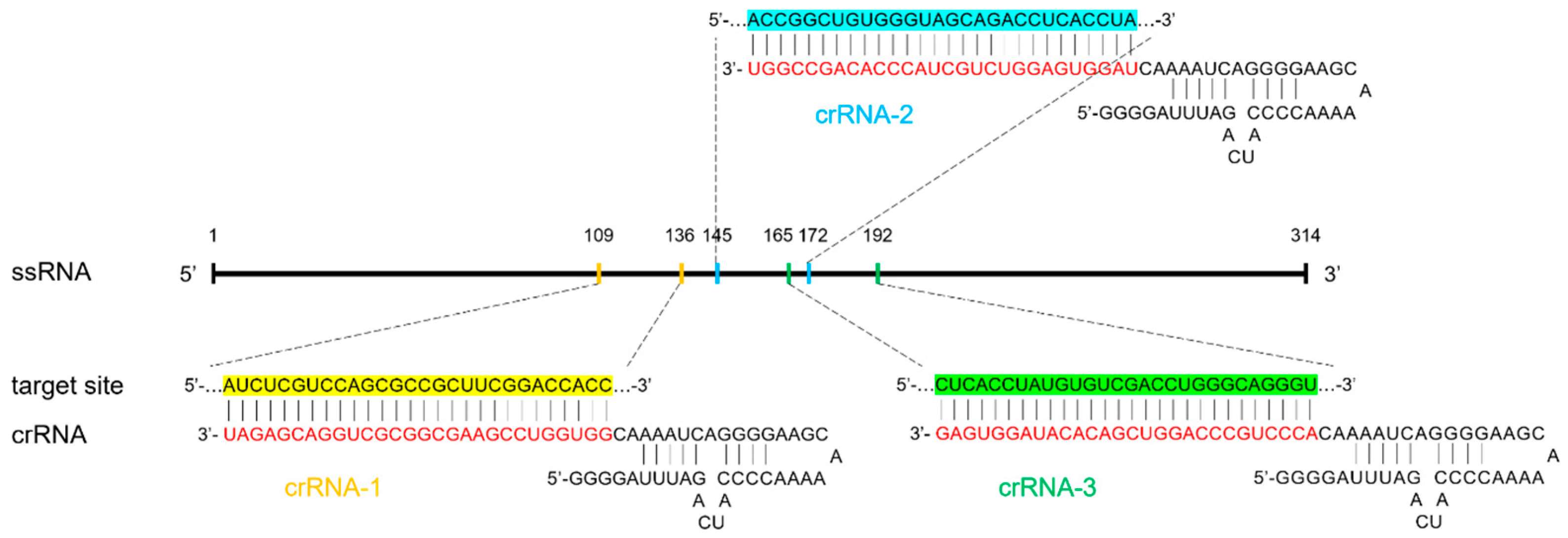 Microorganisms 12 01507 g002