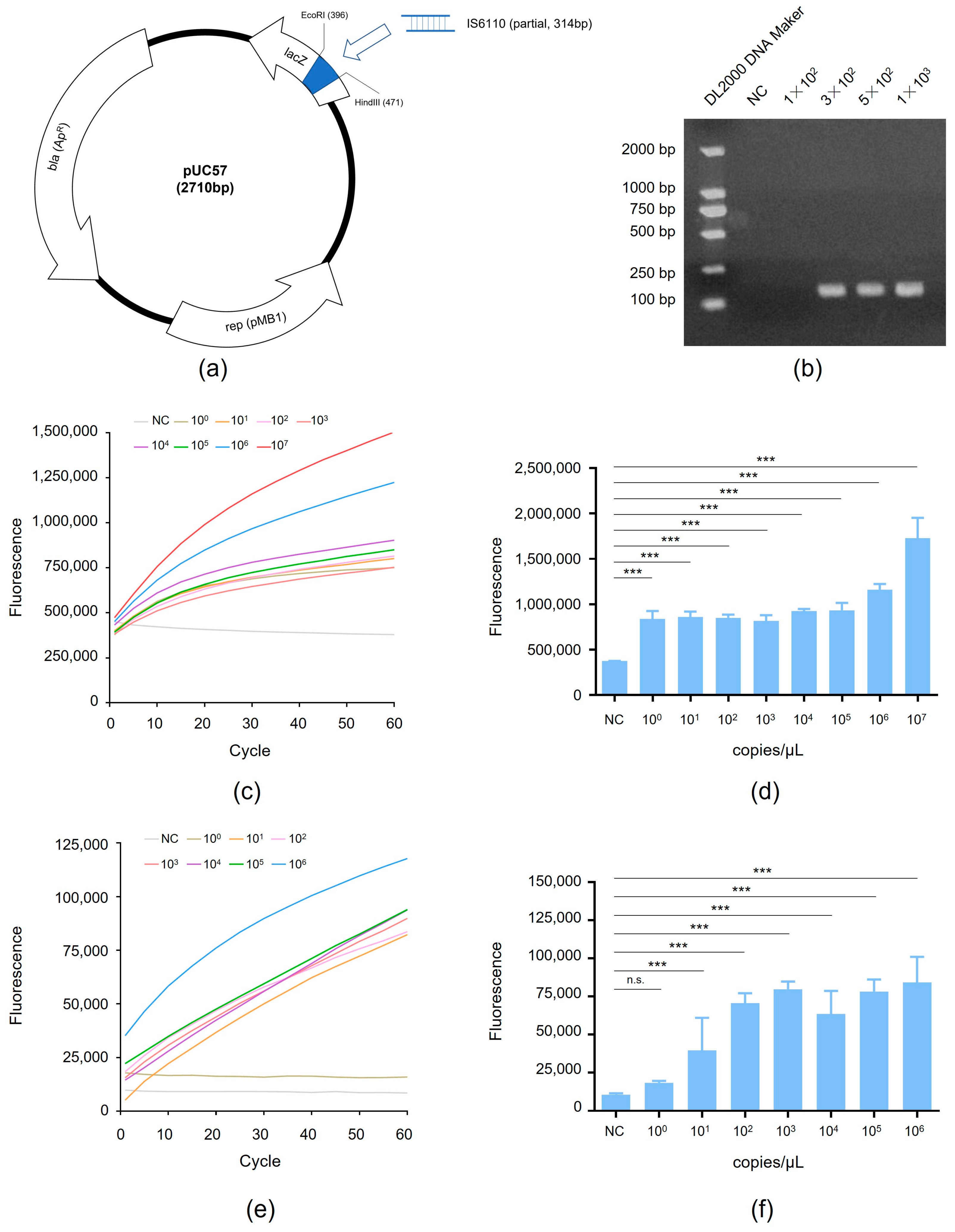 Microorganisms 12 01507 g003
