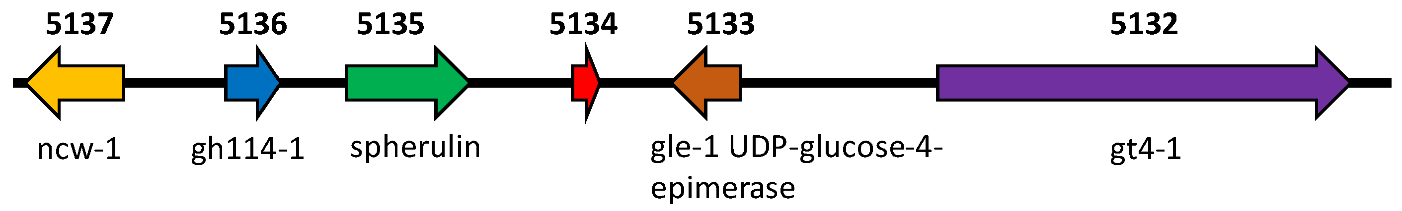 Microorganisms 12 01509 g001