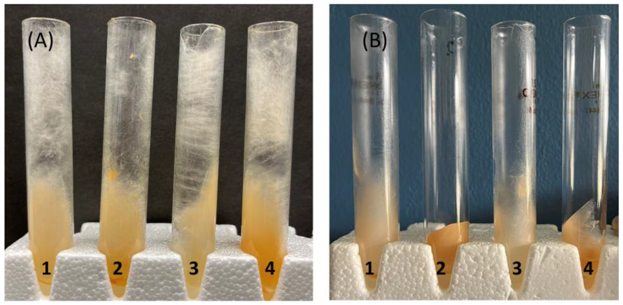Microorganisms 12 01509 g003