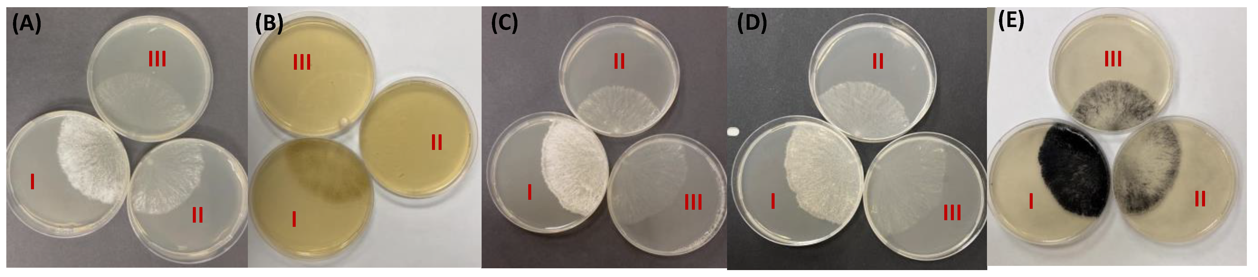 Microorganisms 12 01509 g004