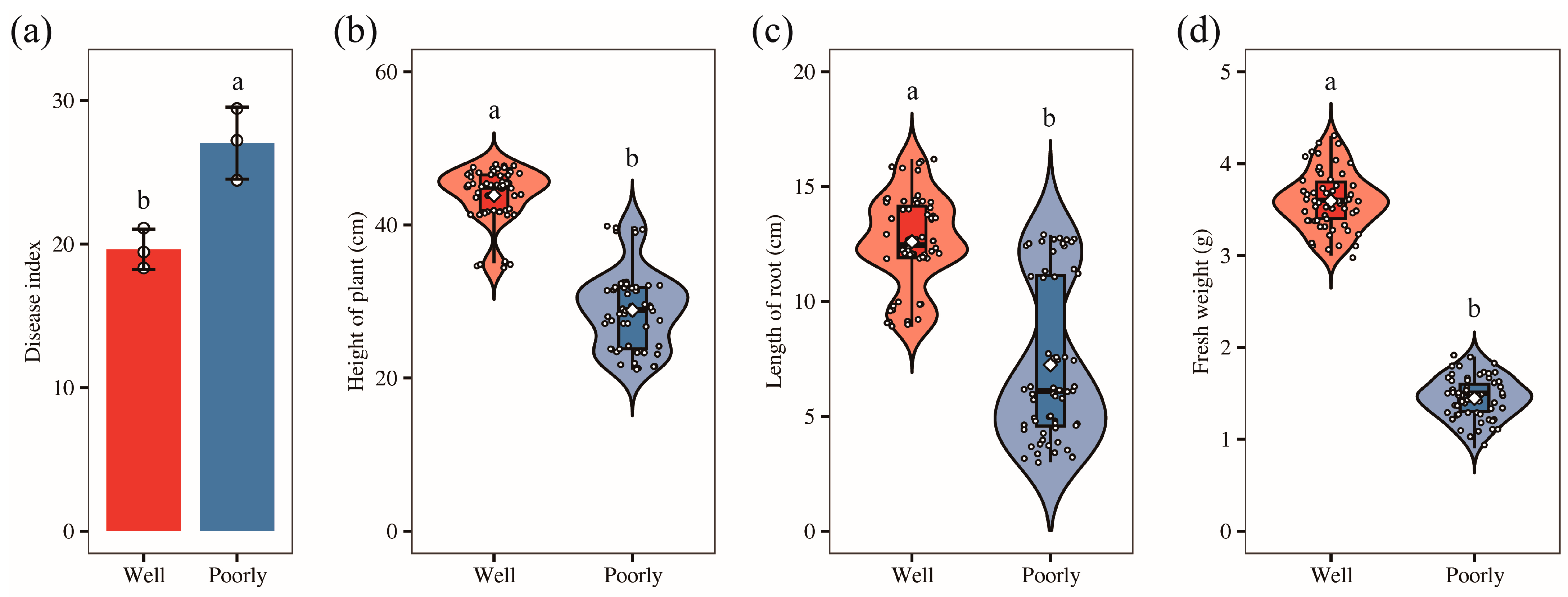 Microorganisms 12 01516 g001