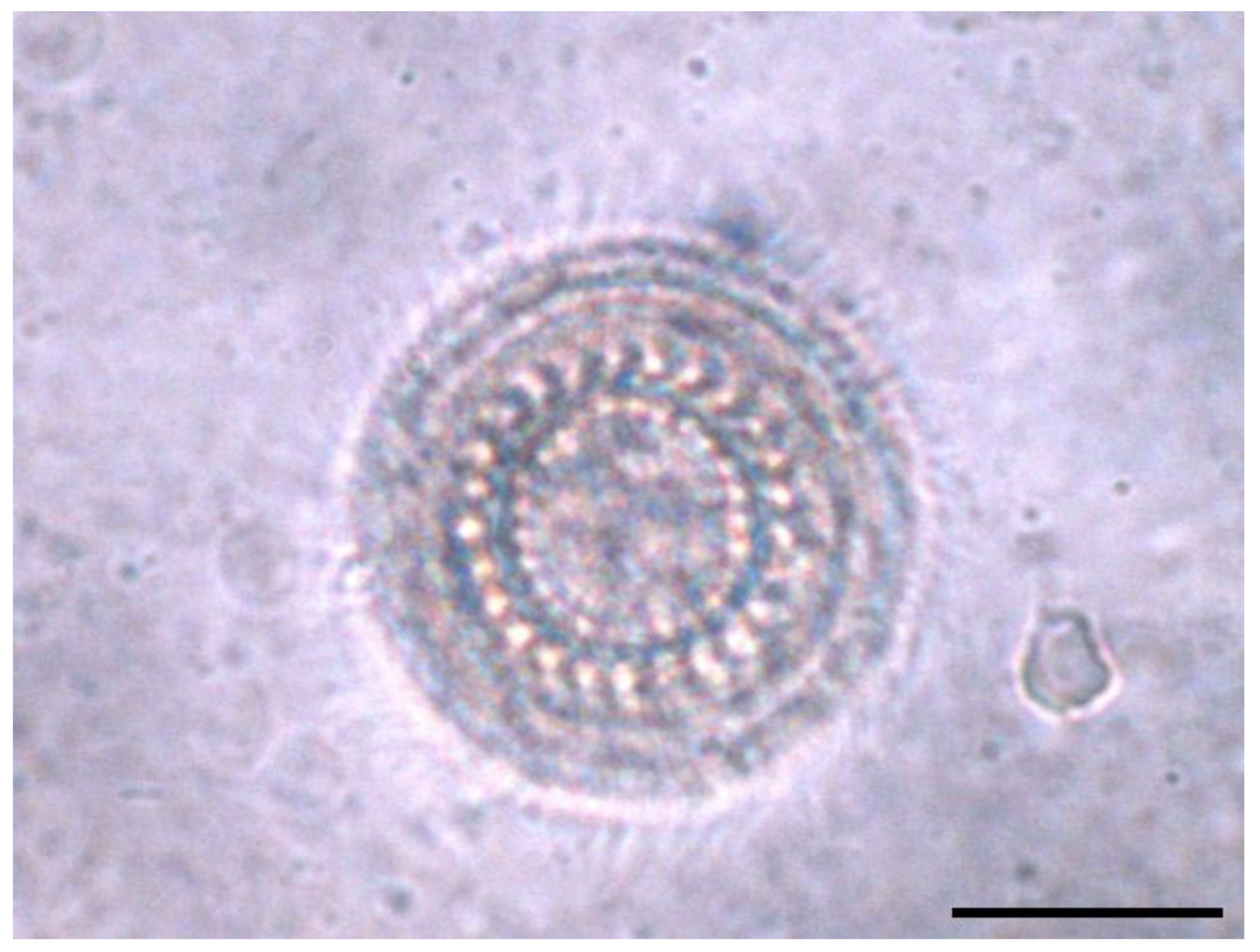 Microorganisms 12 01519 g002 Microorganisms 12 01519 g002