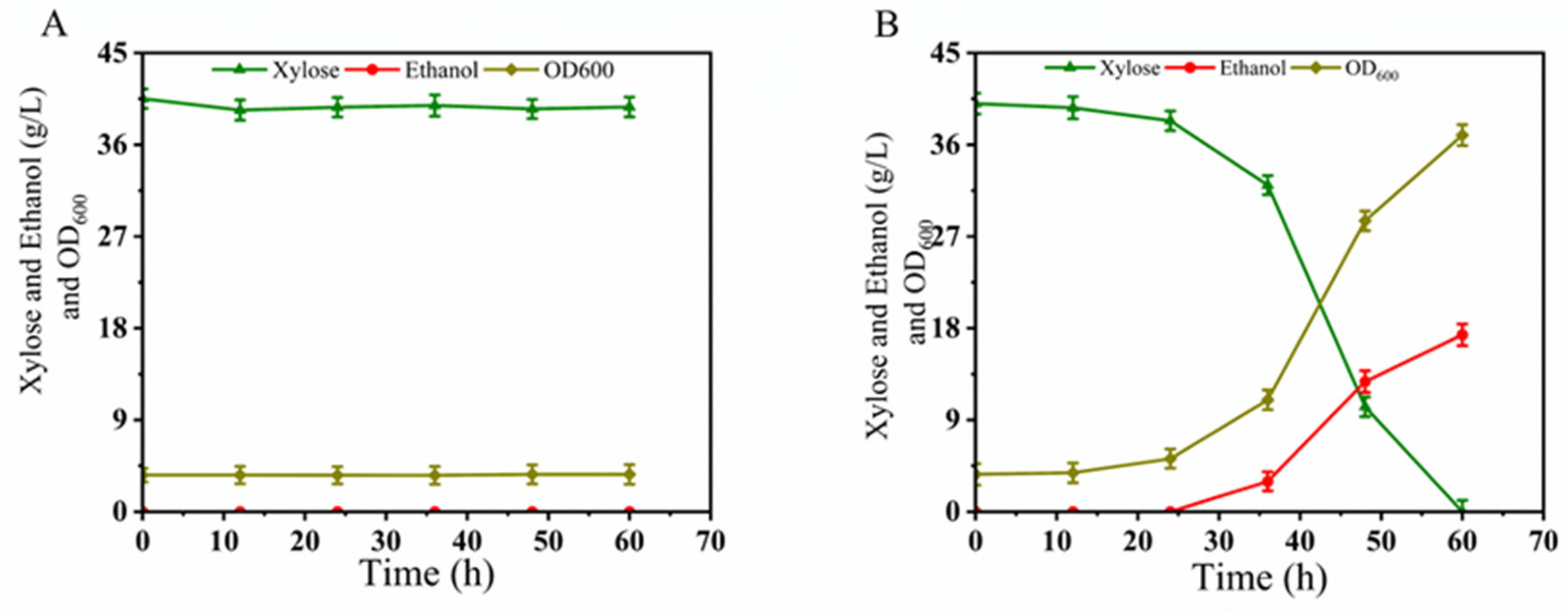 Microorganisms 12 01526 g002 Microorganisms 12 01526 g002