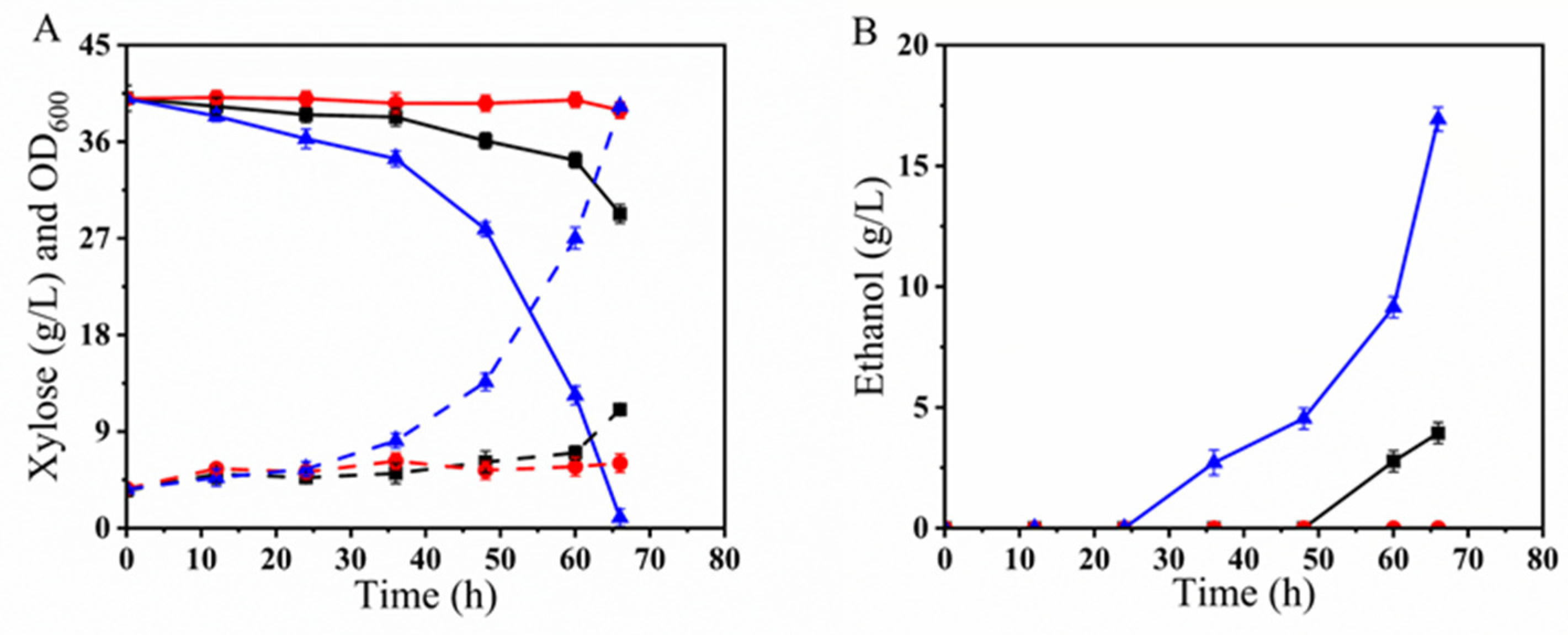 Microorganisms 12 01526 g005 Microorganisms 12 01526 g005