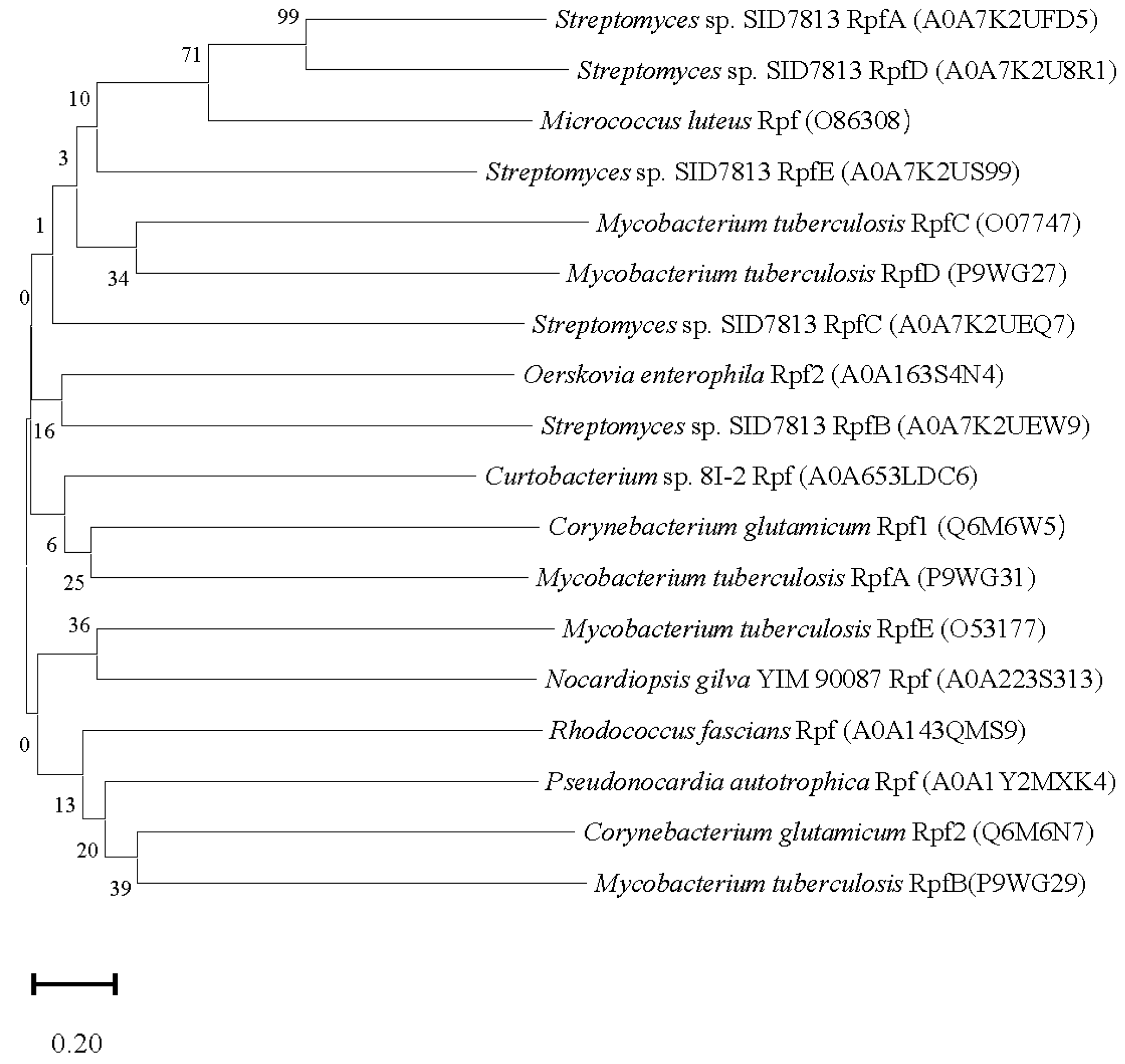 Microorganisms 12 01528 g001 Microorganisms 12 01528 g001