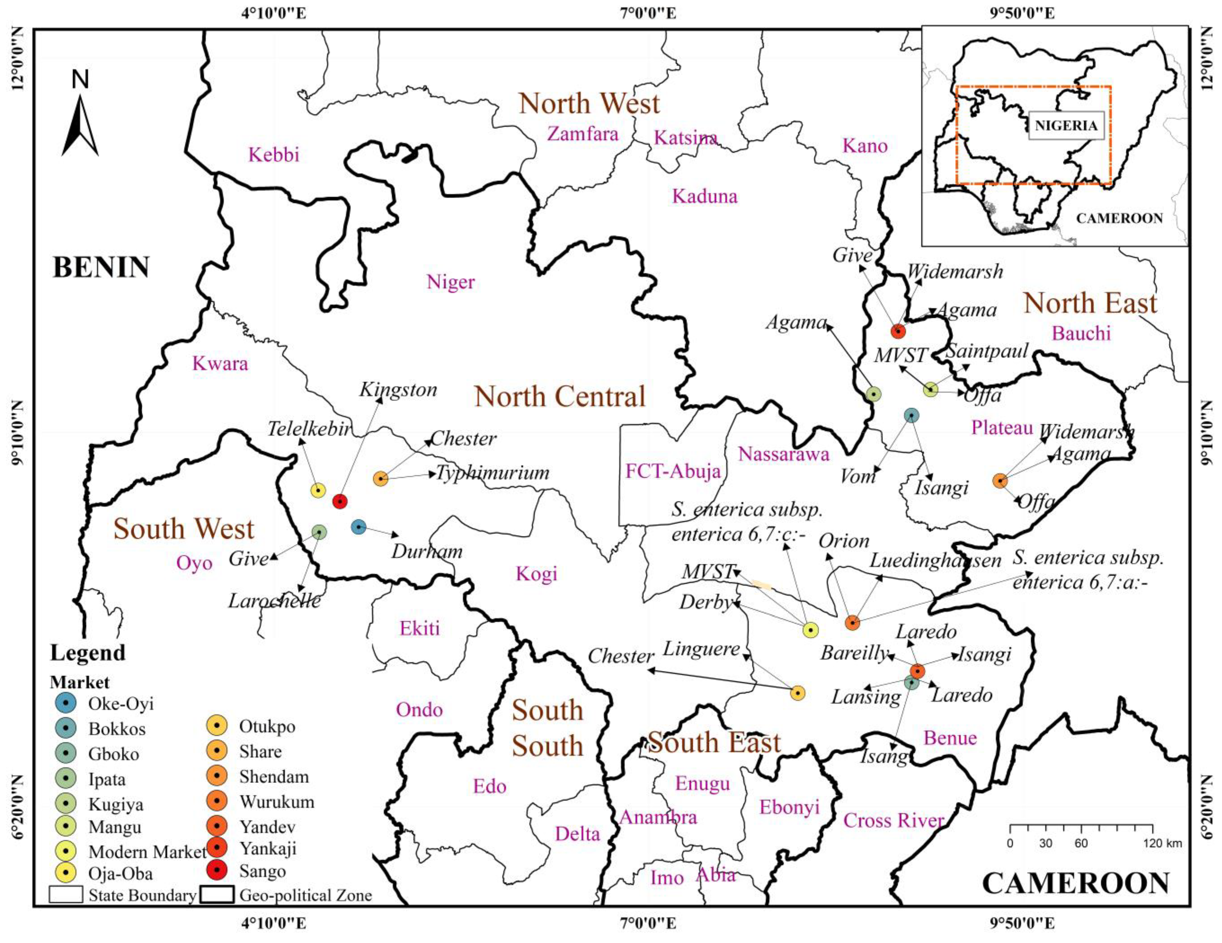 Microorganisms 12 01529 g003