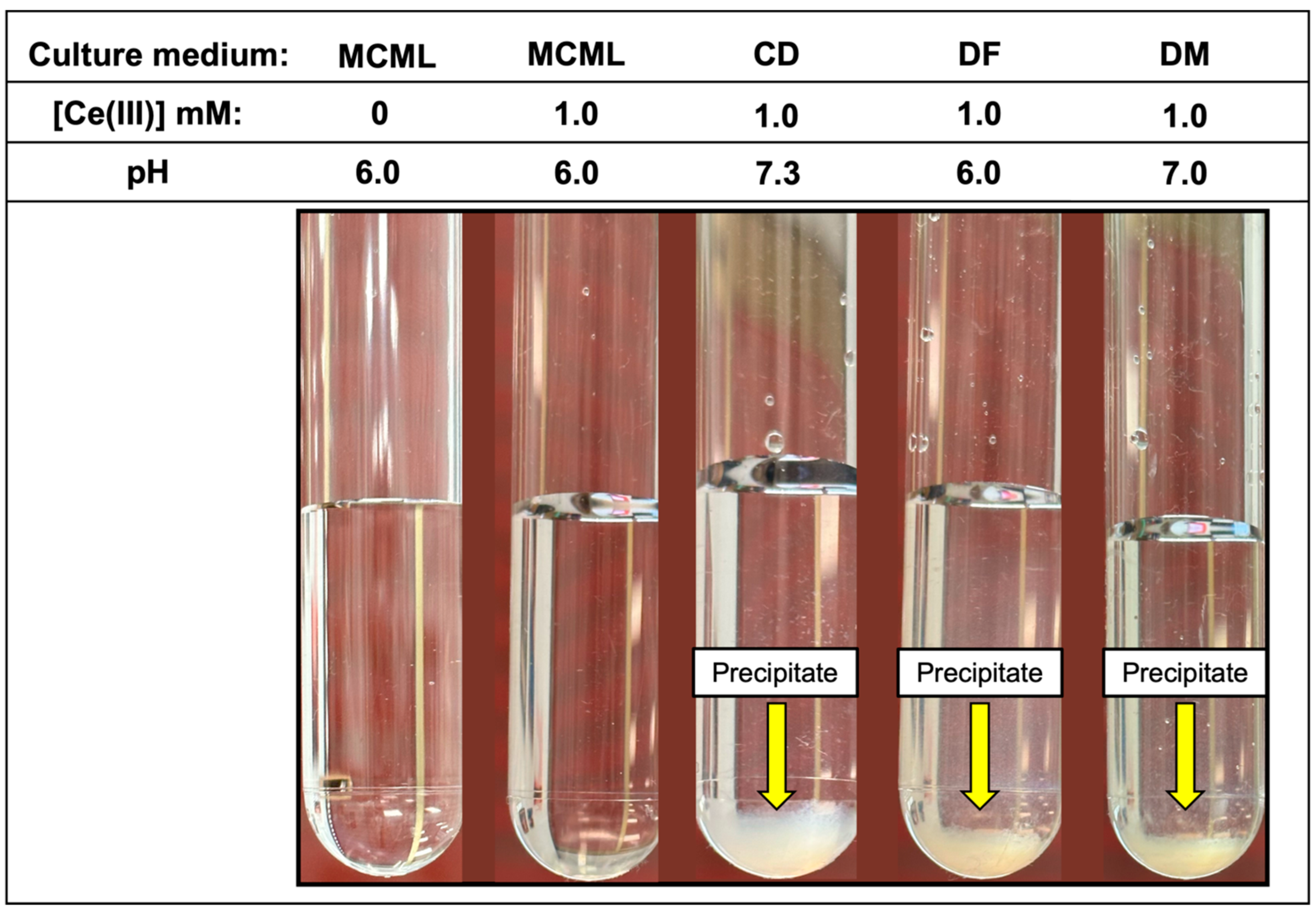 Microorganisms 12 01531 g003