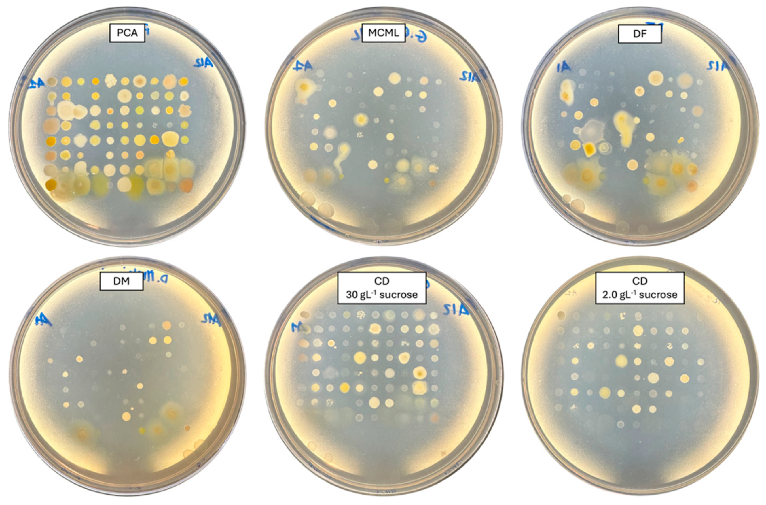 Microorganisms 12 01531 g004