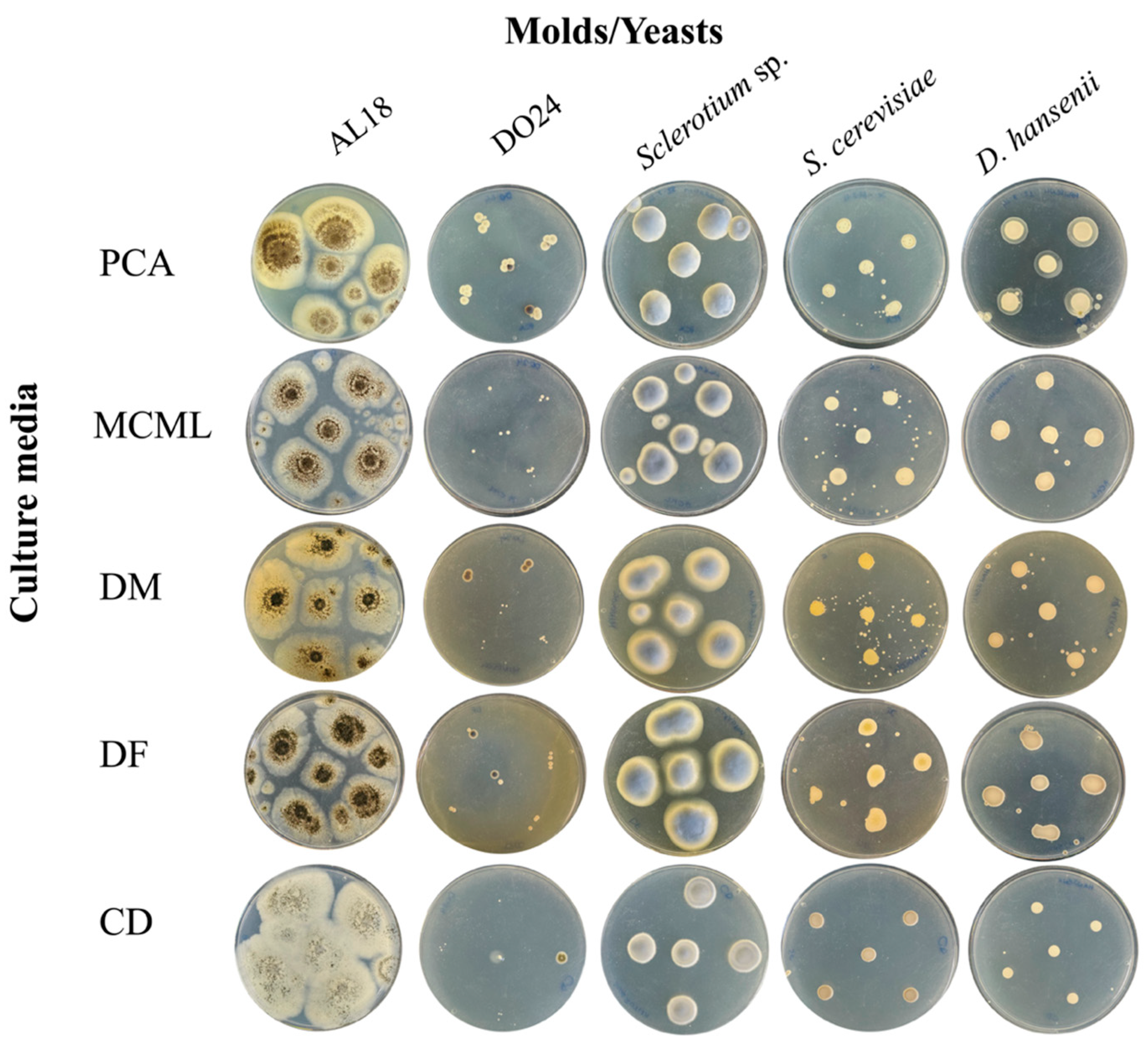 Microorganisms 12 01531 g005