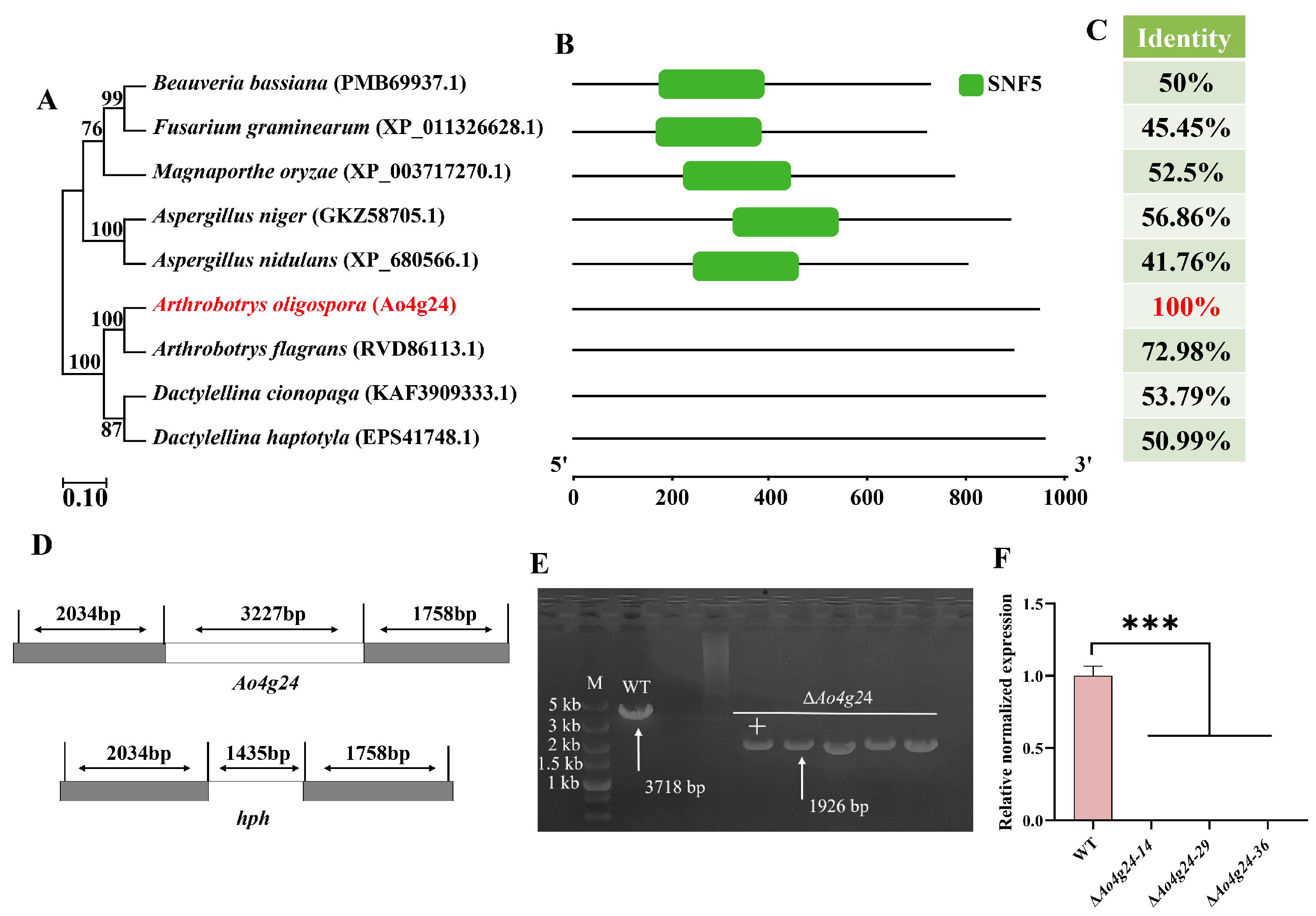Microorganisms 12 01532 g001