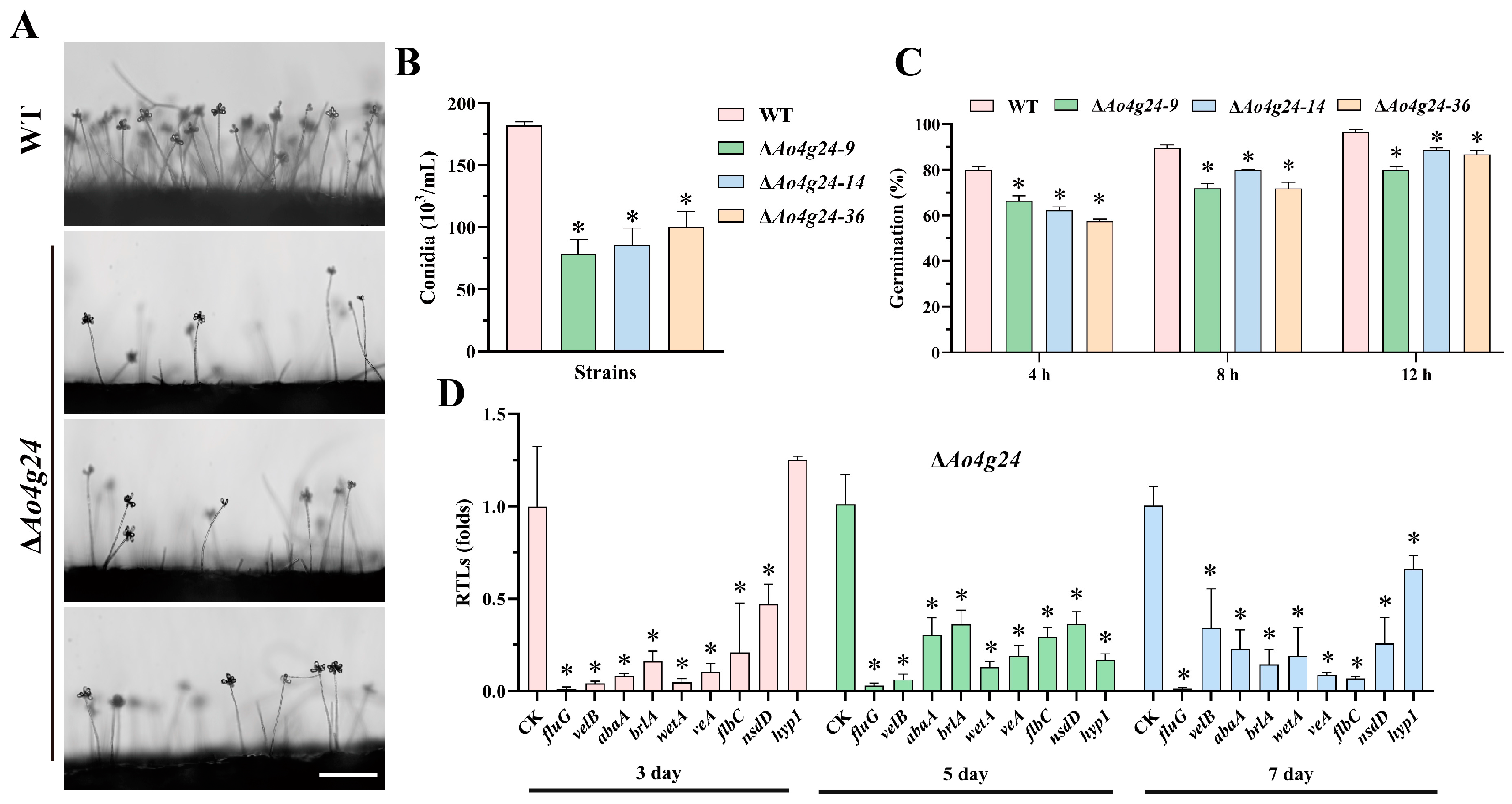 Microorganisms 12 01532 g003