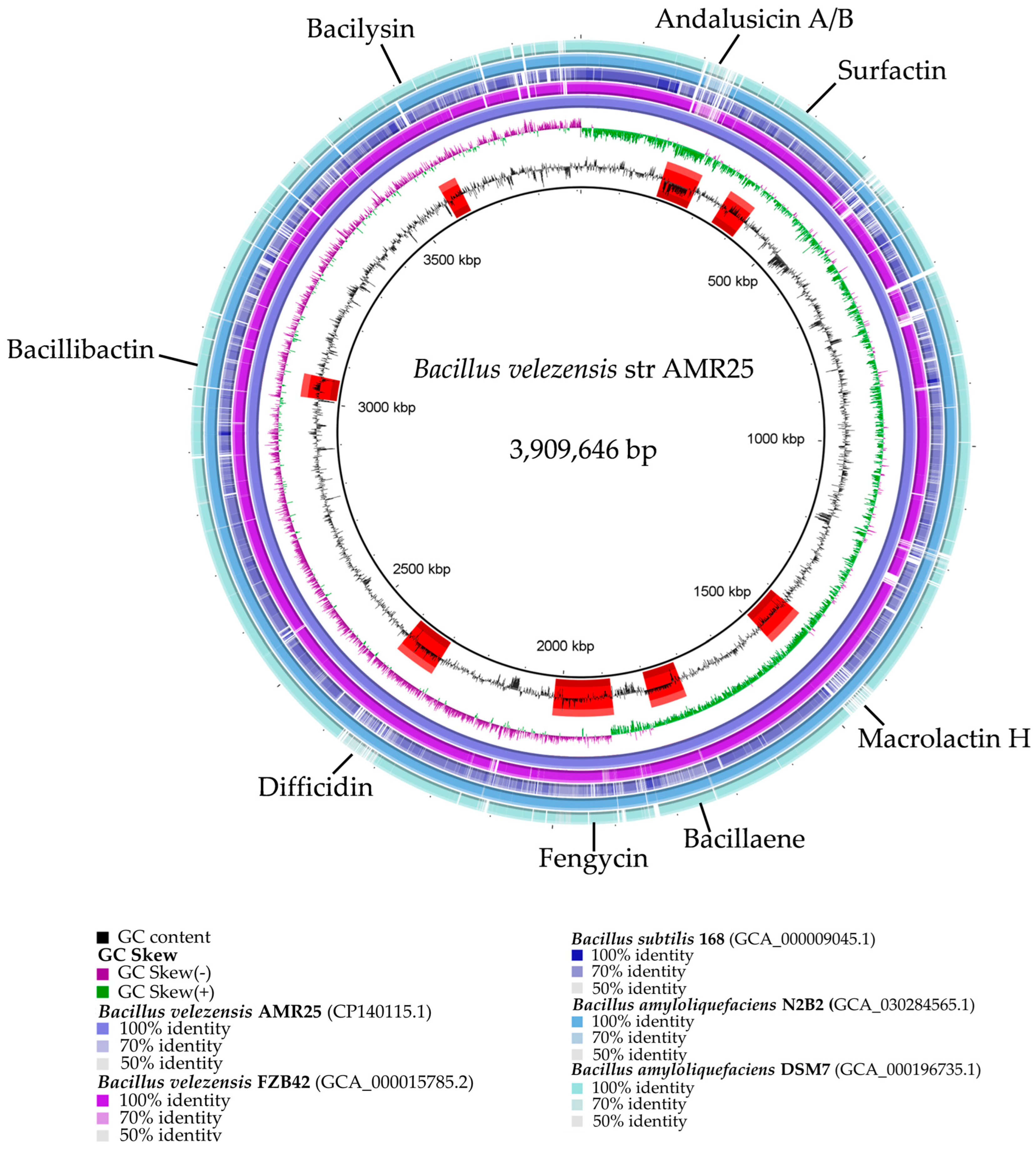 Microorganisms 12 01533 g003