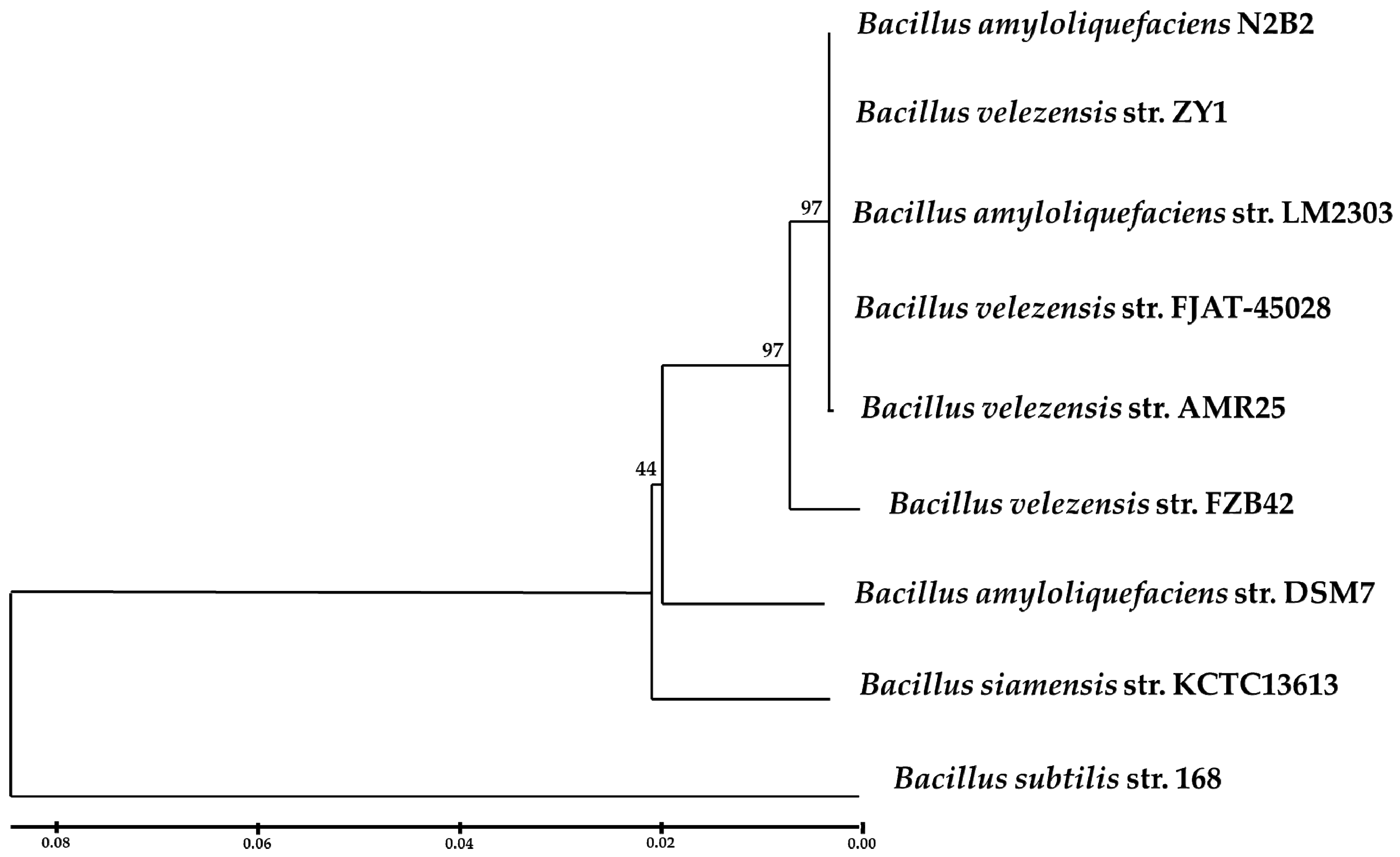 Microorganisms 12 01533 g004