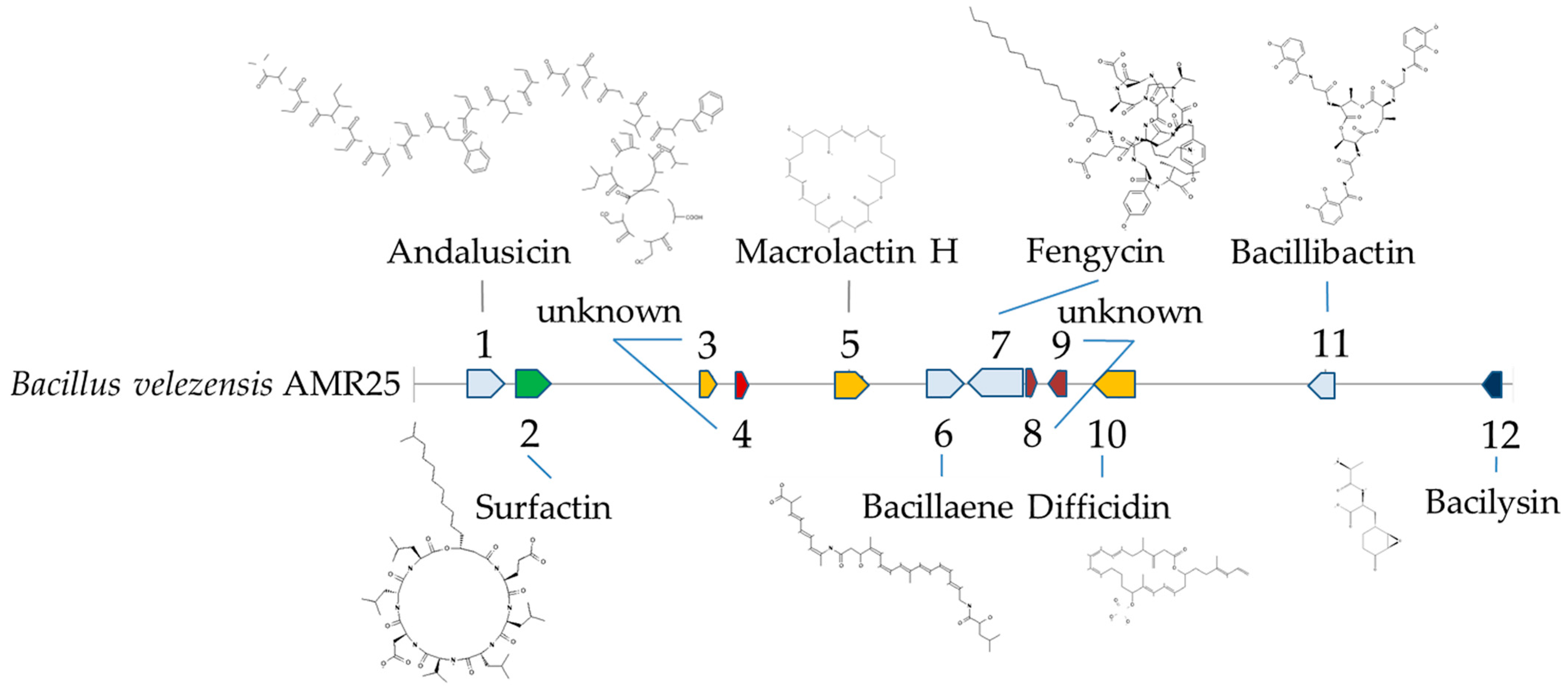 Microorganisms 12 01533 g006
