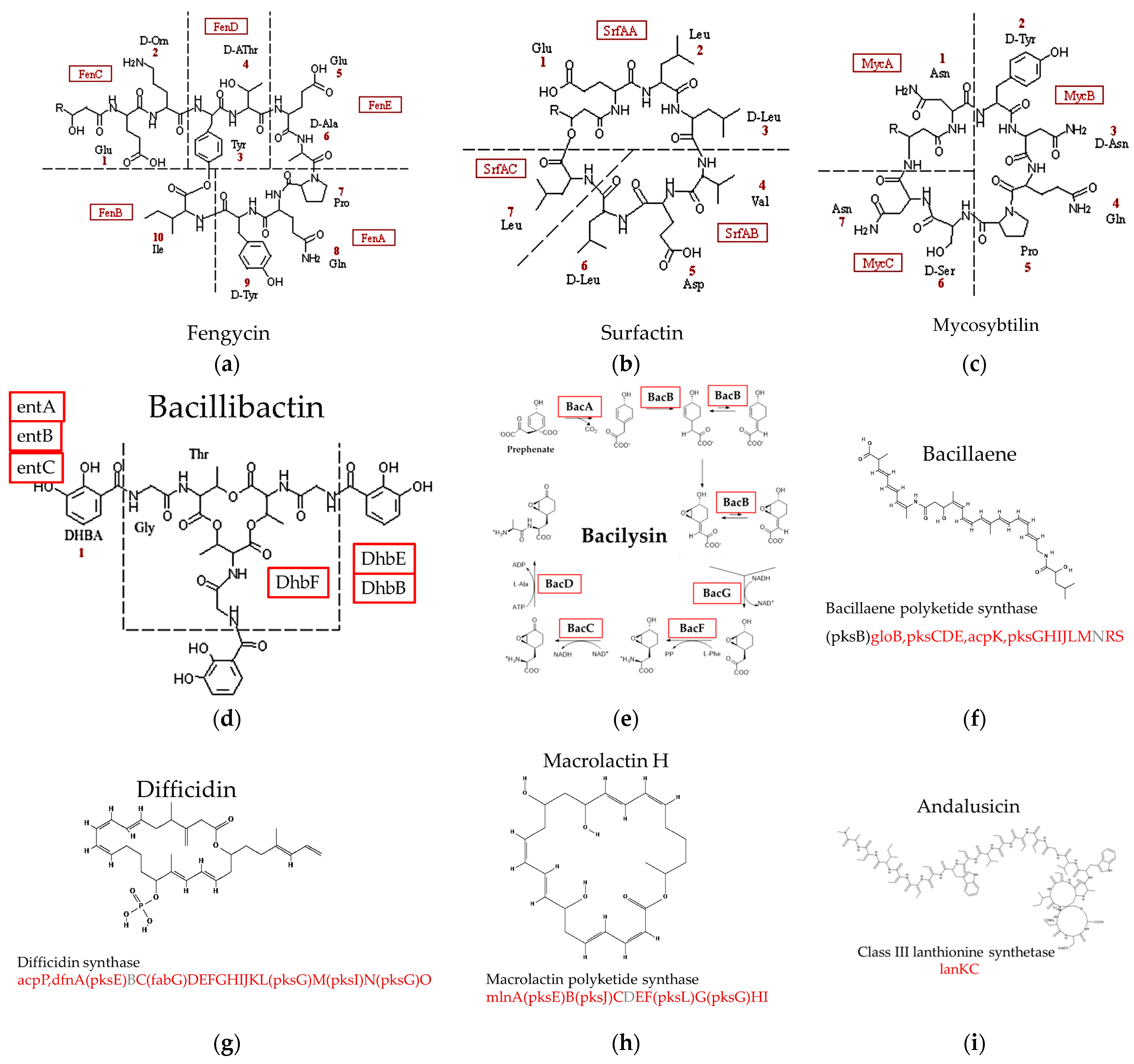 Microorganisms 12 01533 g008
