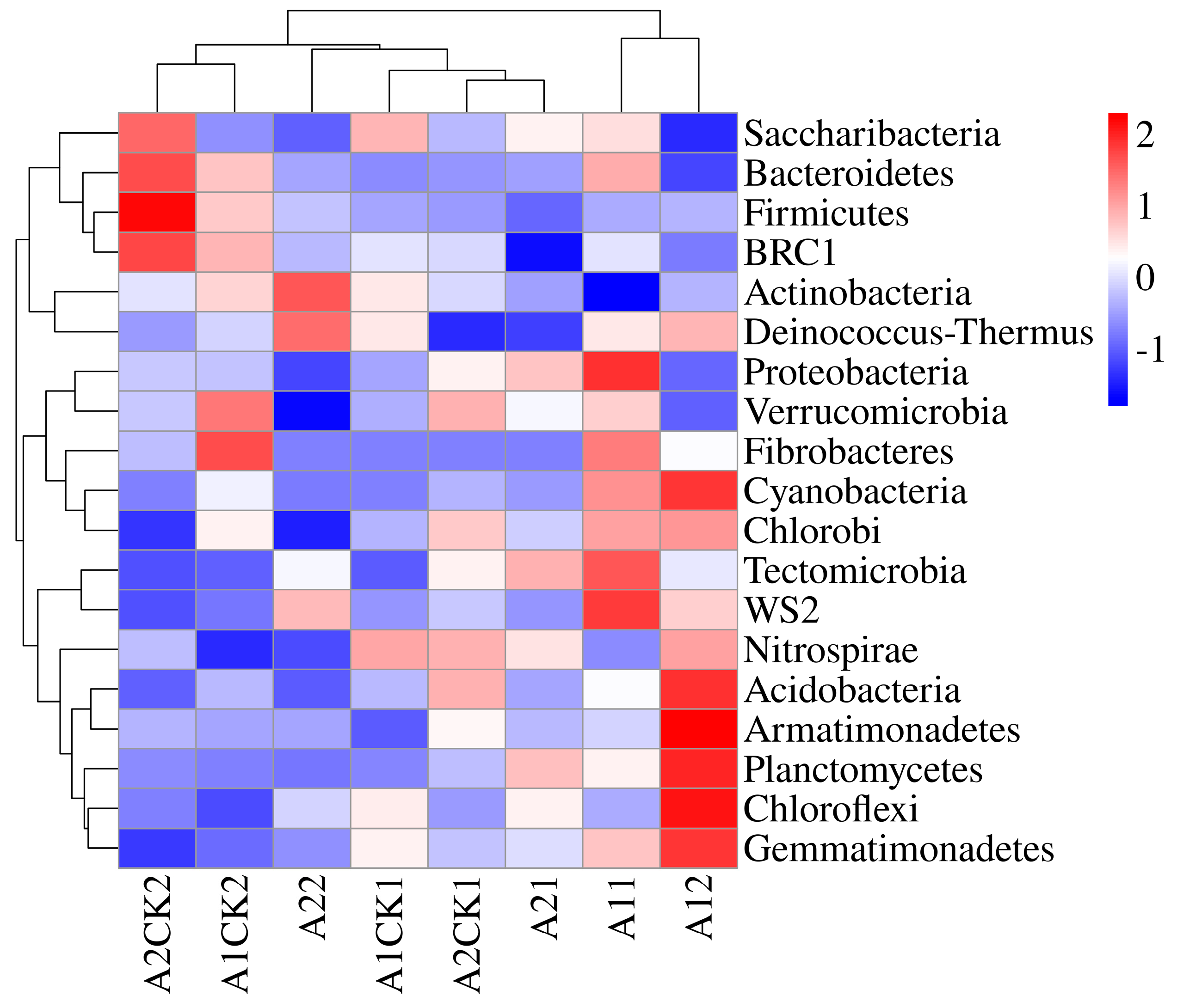 Microorganisms 12 01534 g001