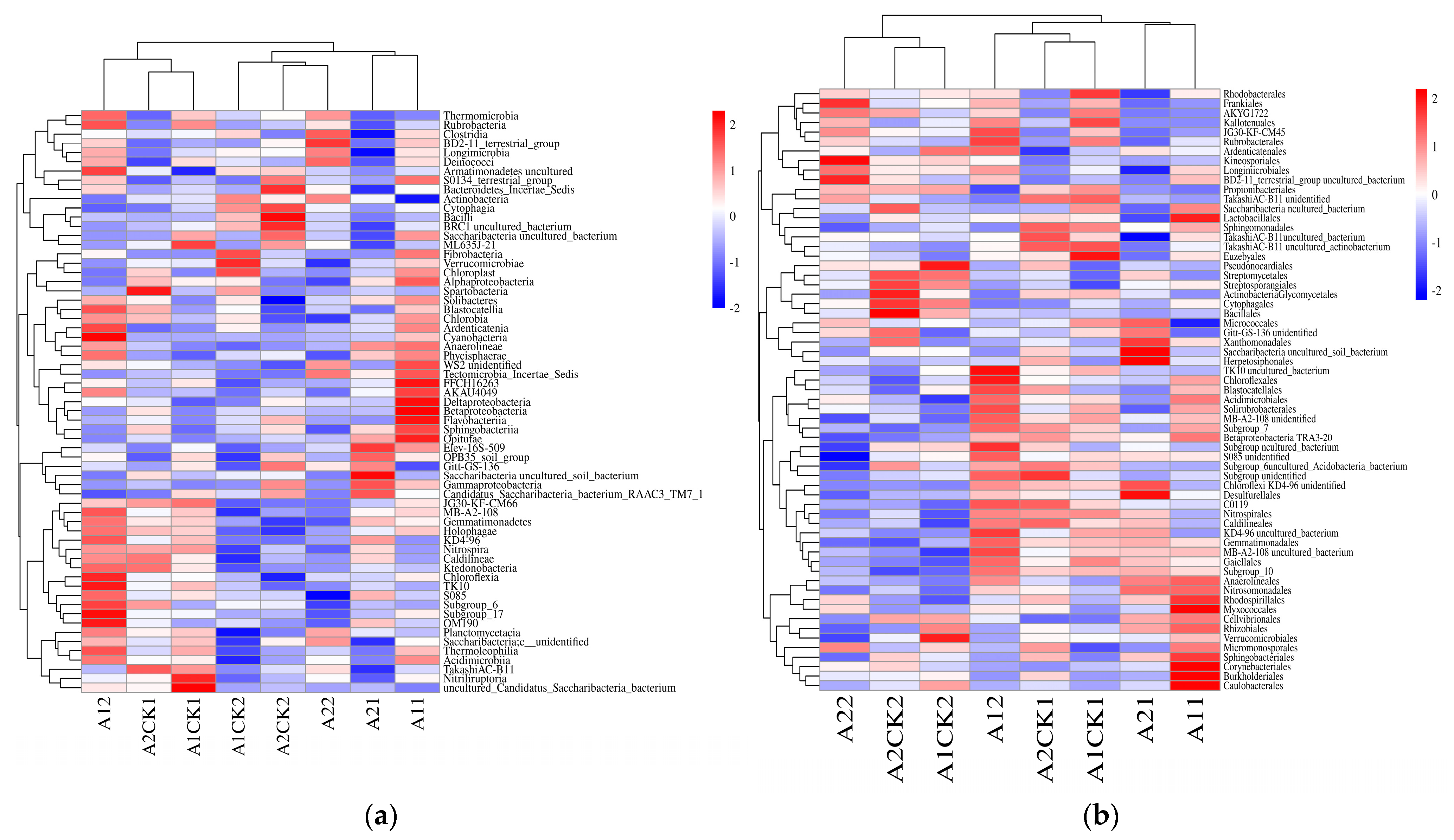 Microorganisms 12 01534 g002a