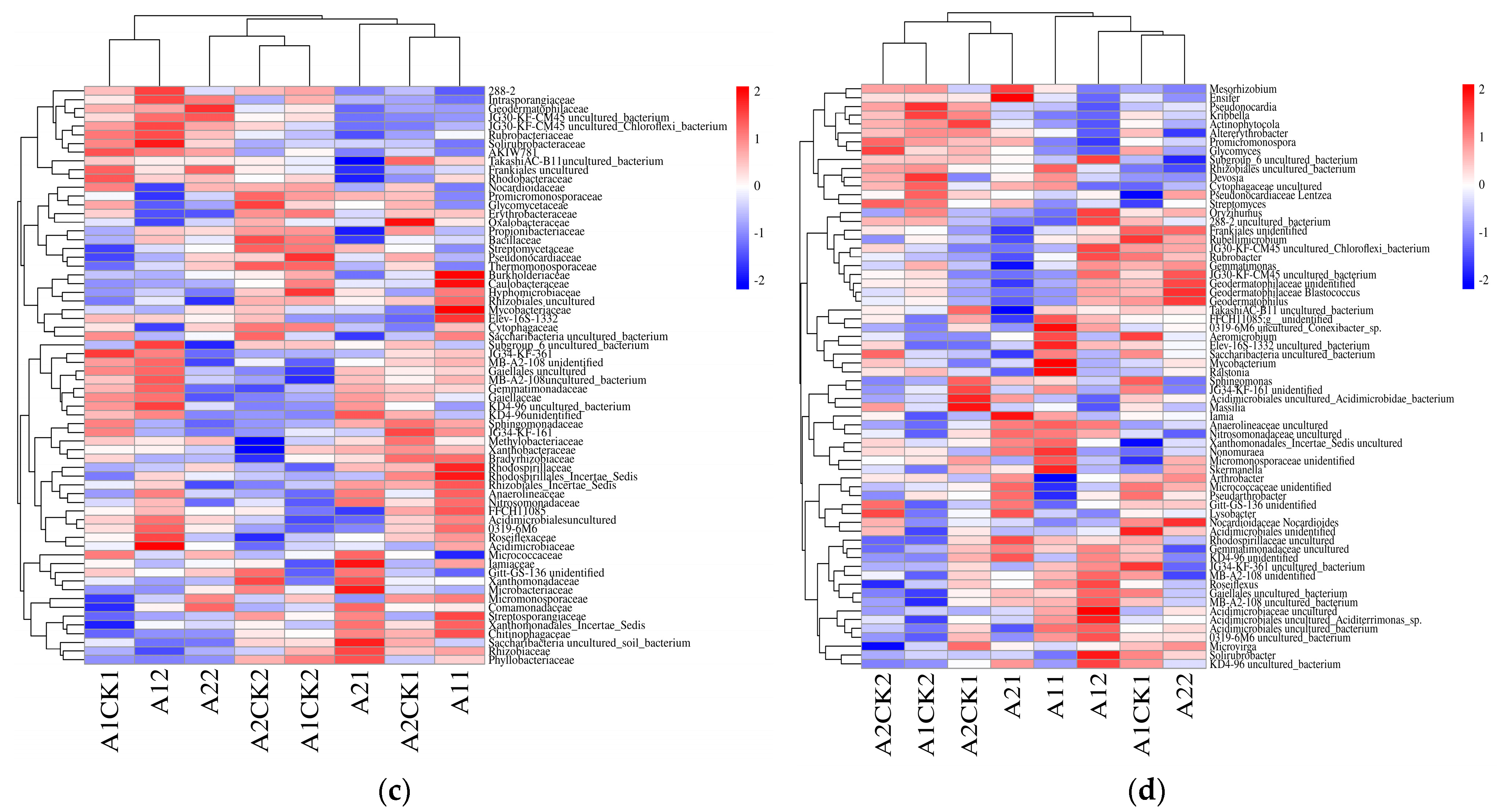 Microorganisms 12 01534 g002b