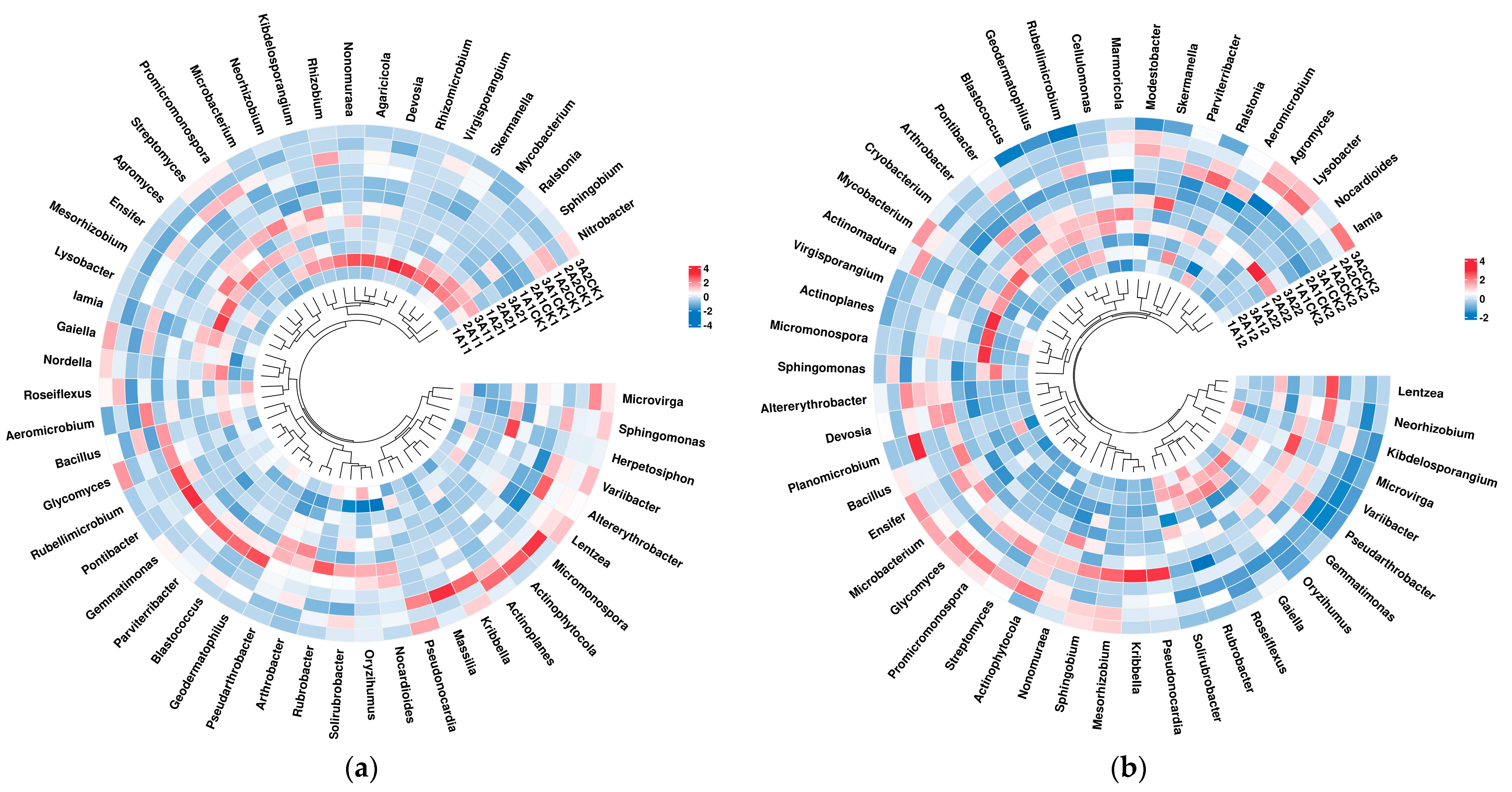 Microorganisms 12 01534 g004