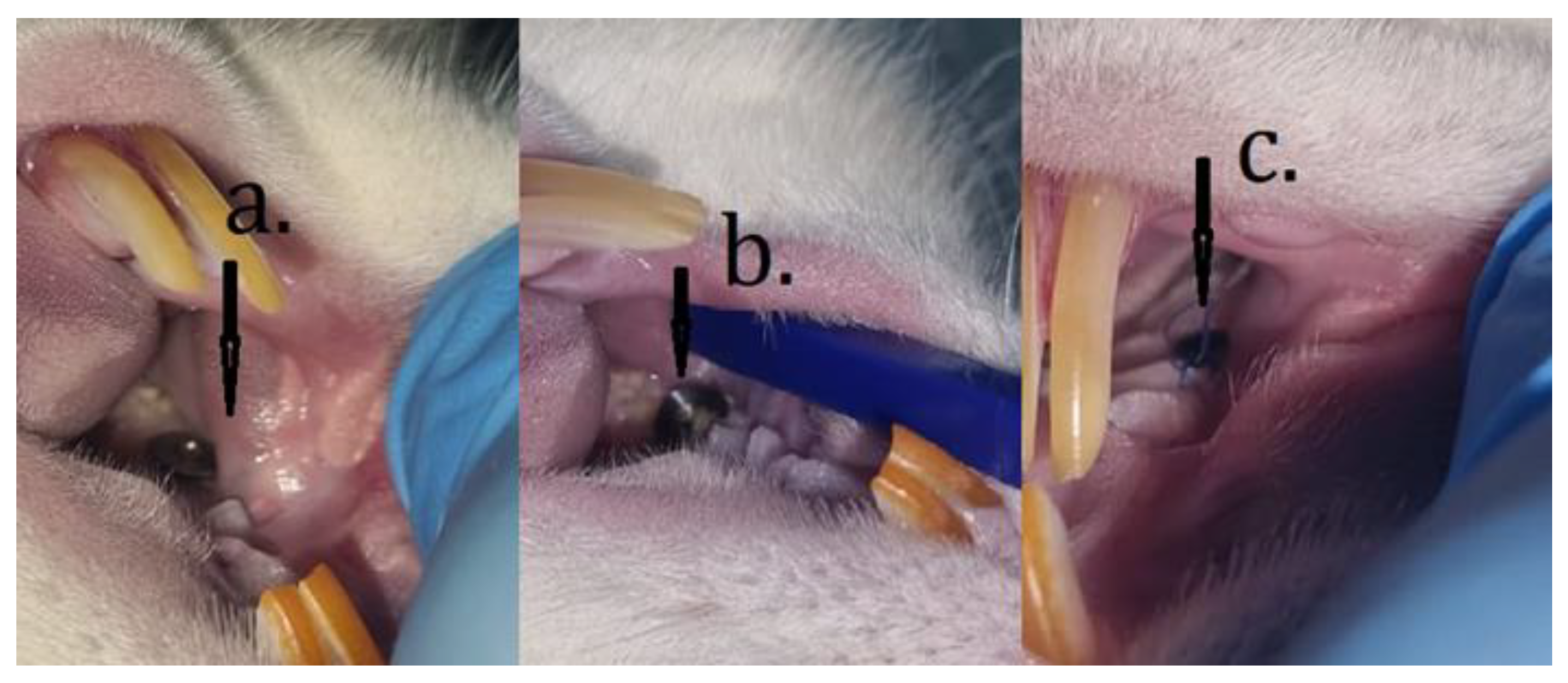 Microorganisms 12 01537 g002