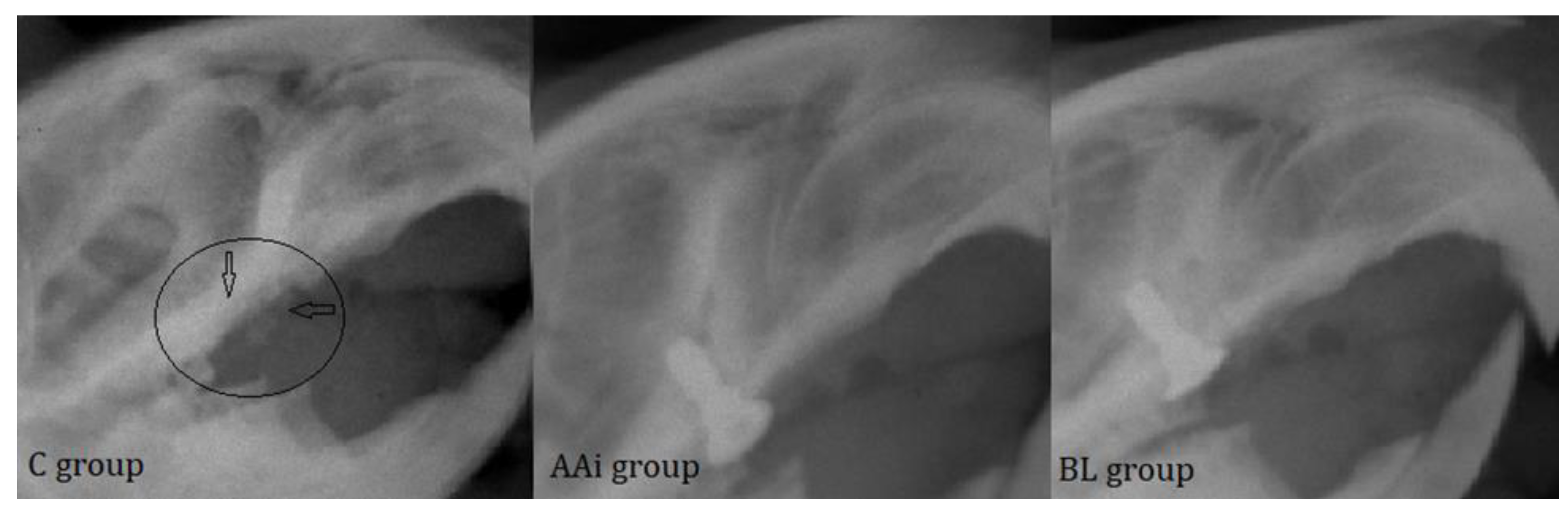 Microorganisms 12 01537 g006