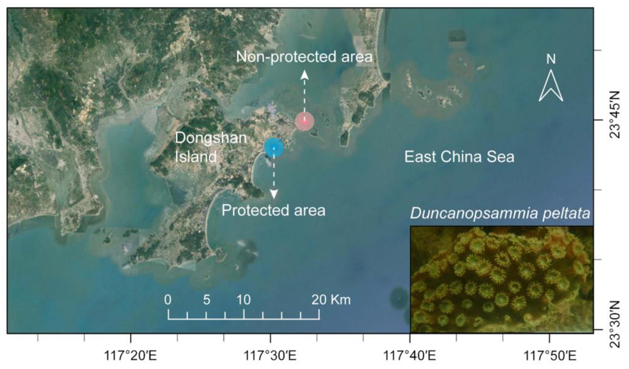 Microorganisms 12 01540 g001