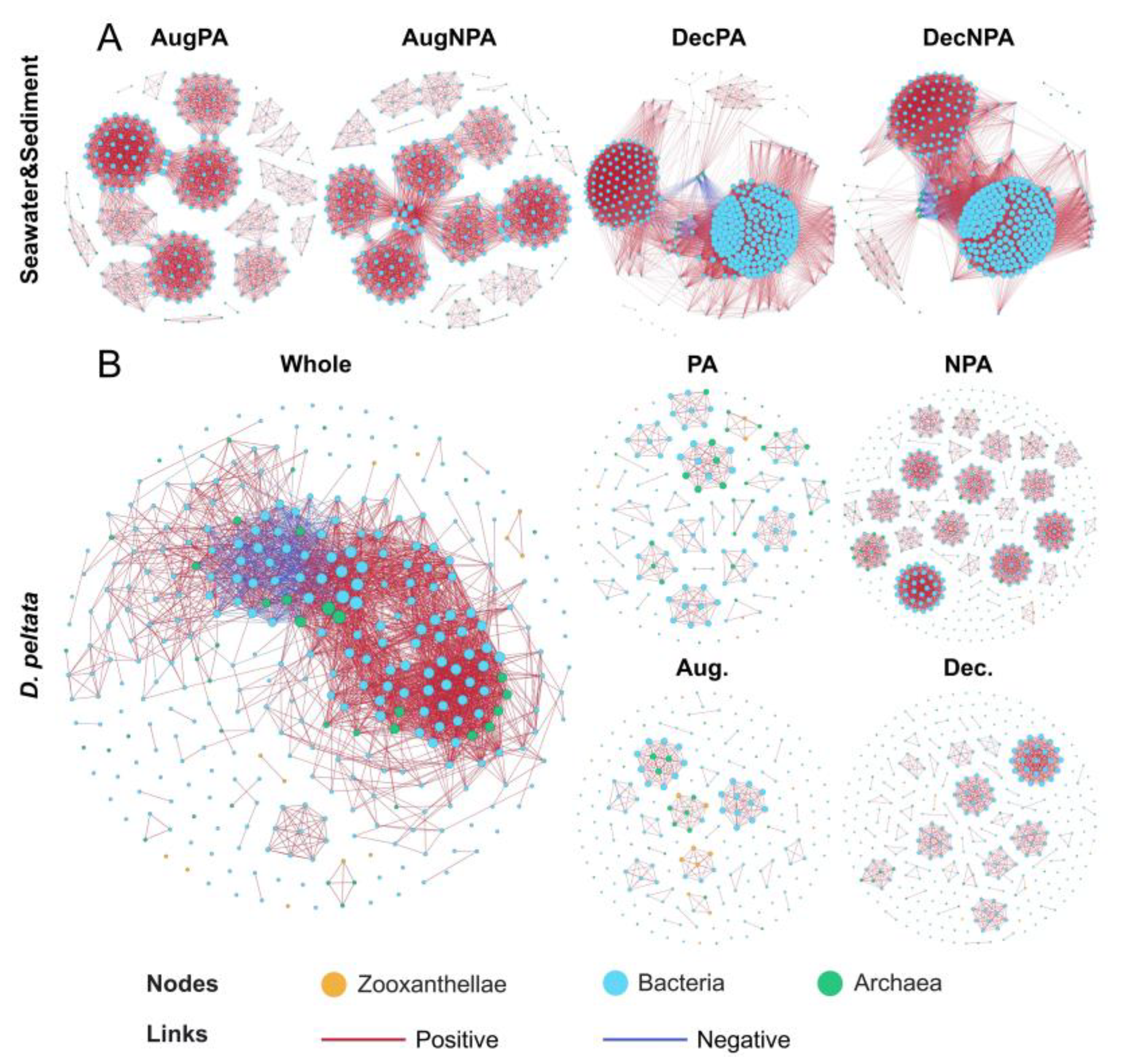 Microorganisms 12 01540 g007