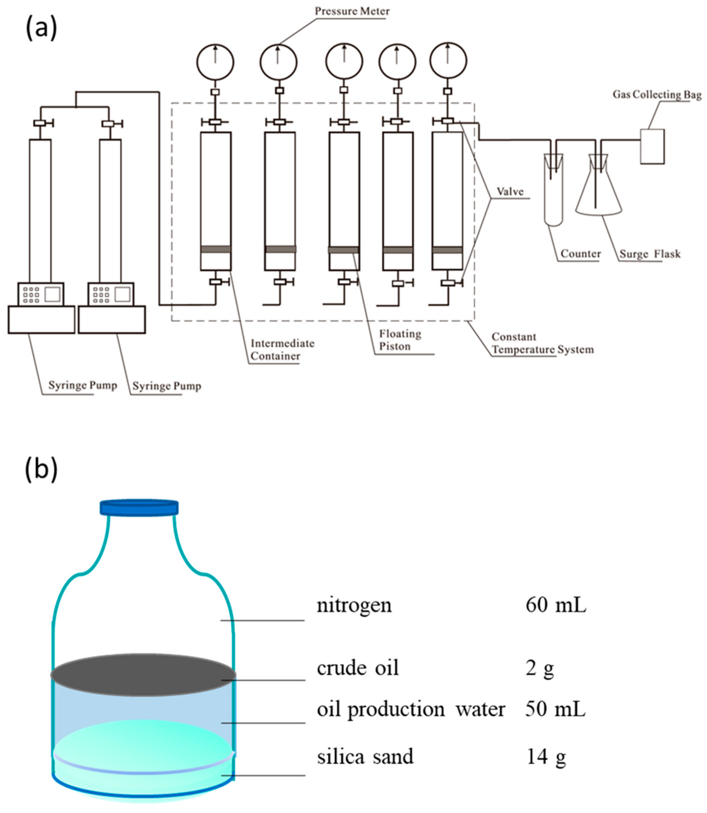 Microorganisms 12 01543 g001
