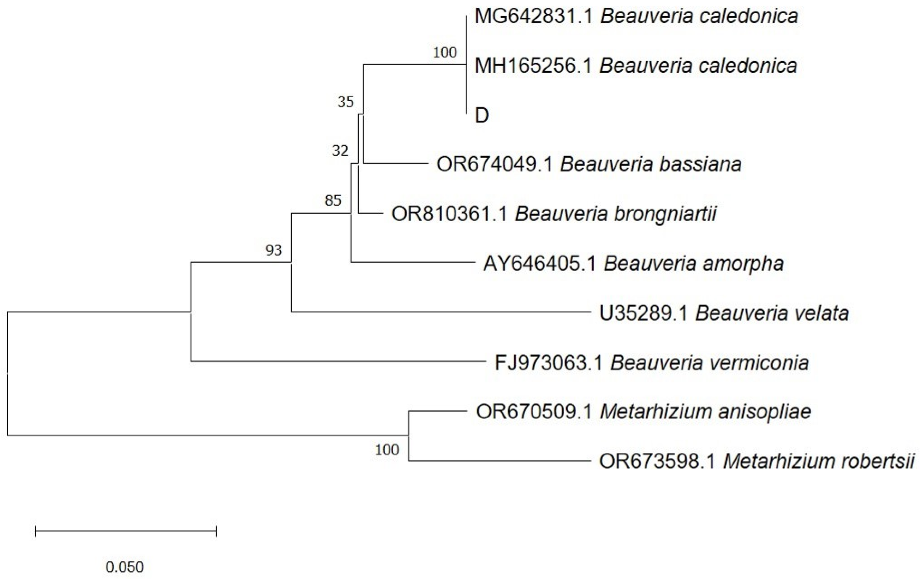 Microorganisms 12 01554 g002