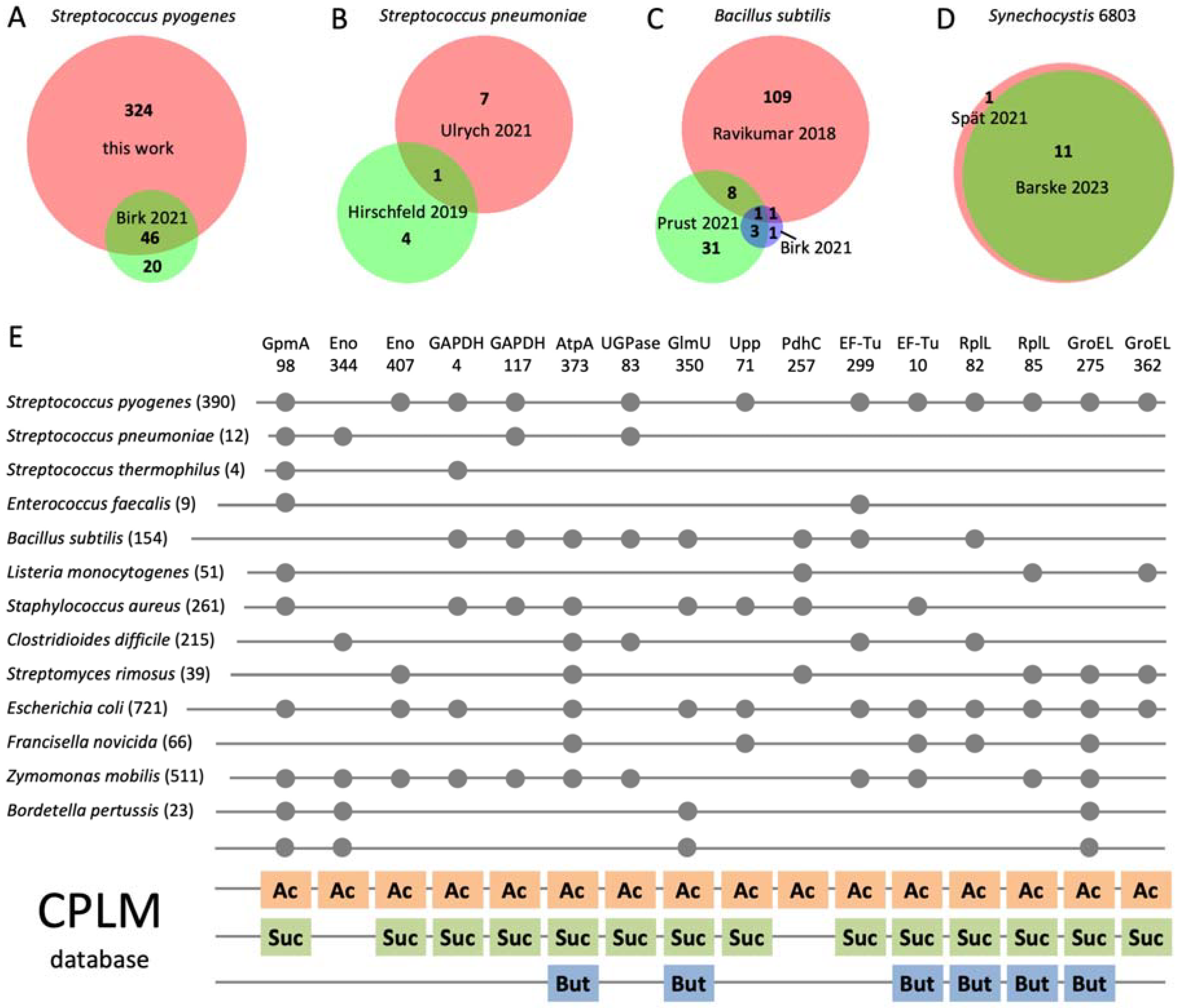 Microorganisms 12 01556 g004
