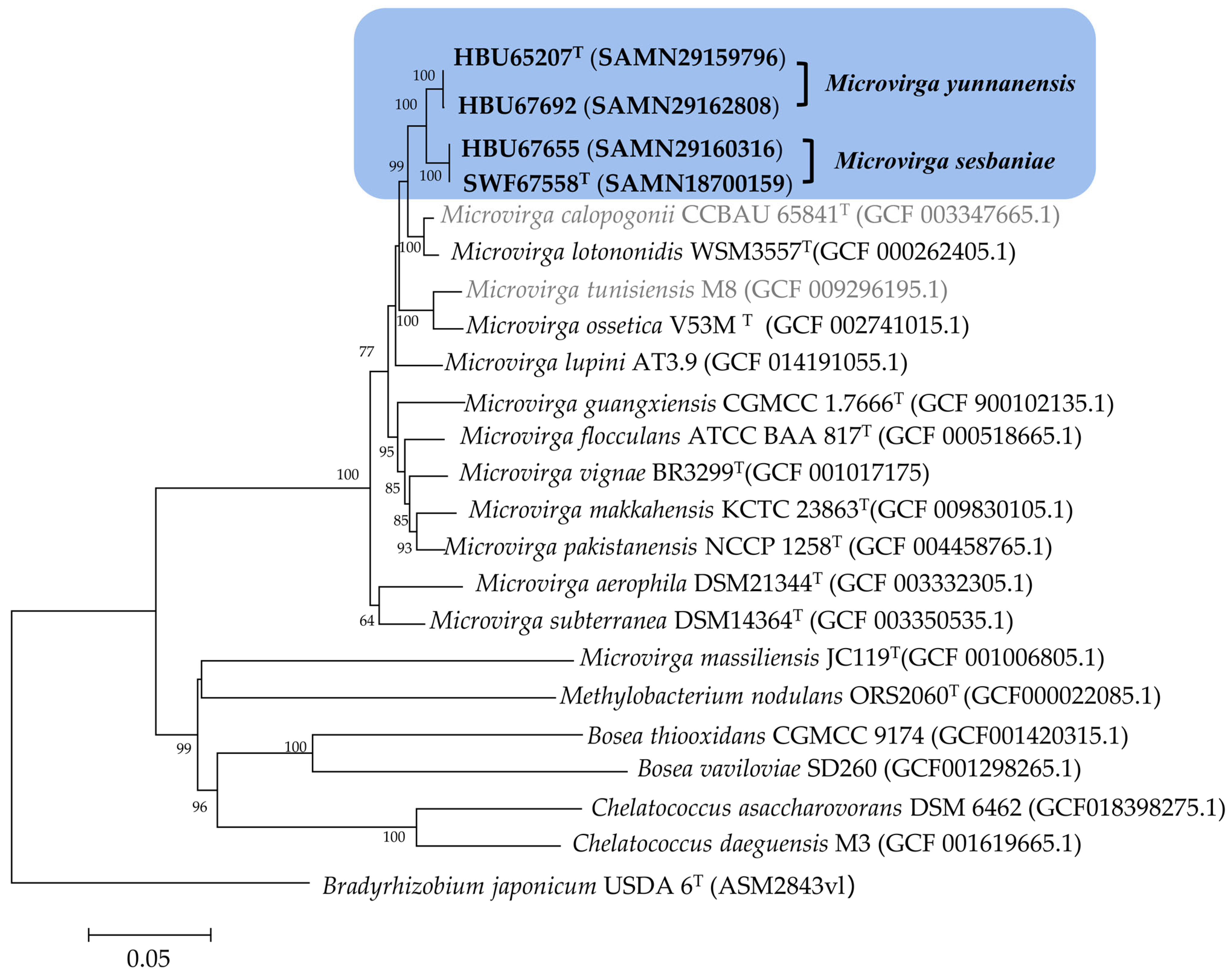 Microorganisms 12 01558 g002