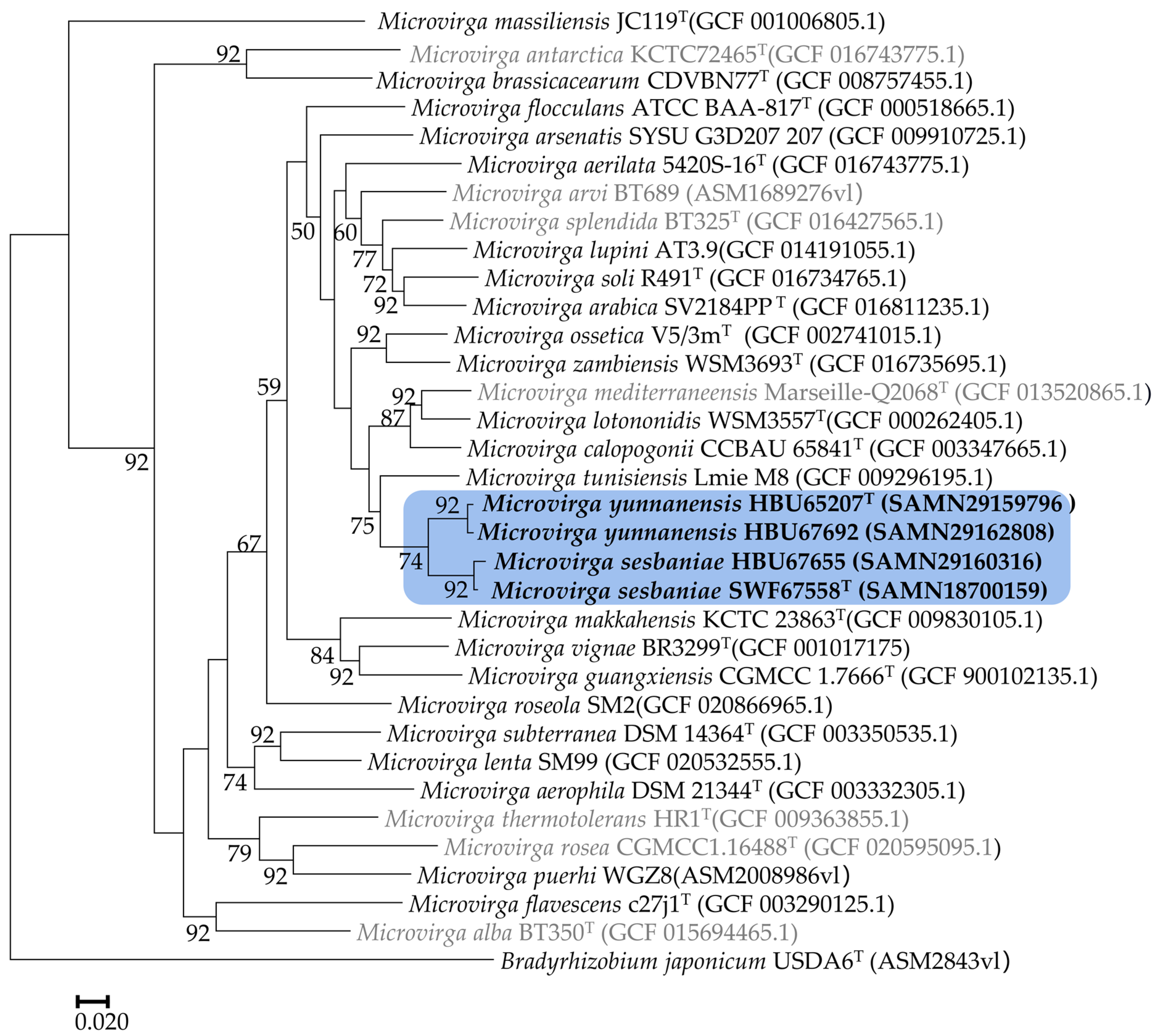 Microorganisms 12 01558 g004