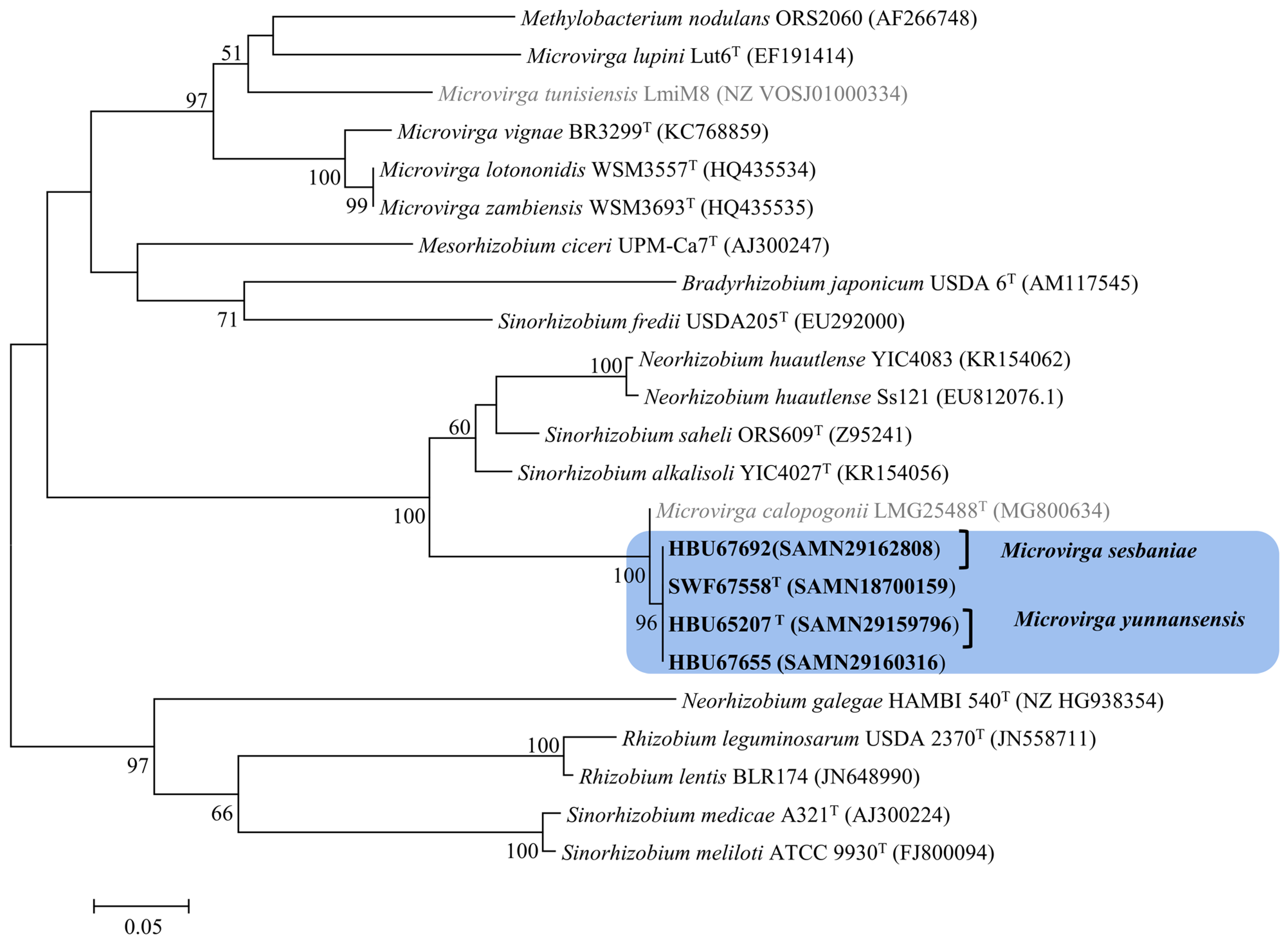 Microorganisms 12 01558 g005