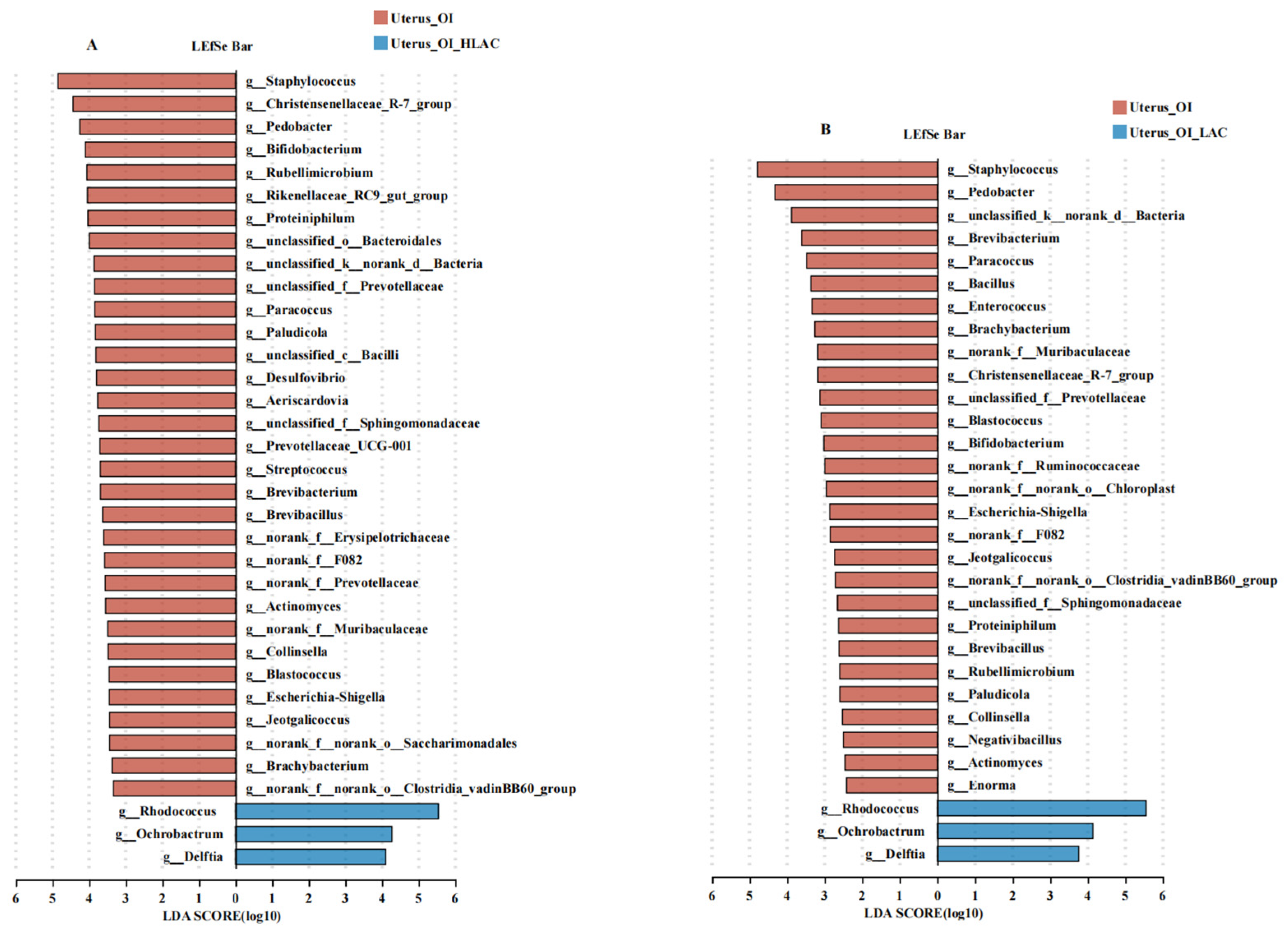 Microorganisms 12 01559 g009 Microorganisms 12 01559 g009