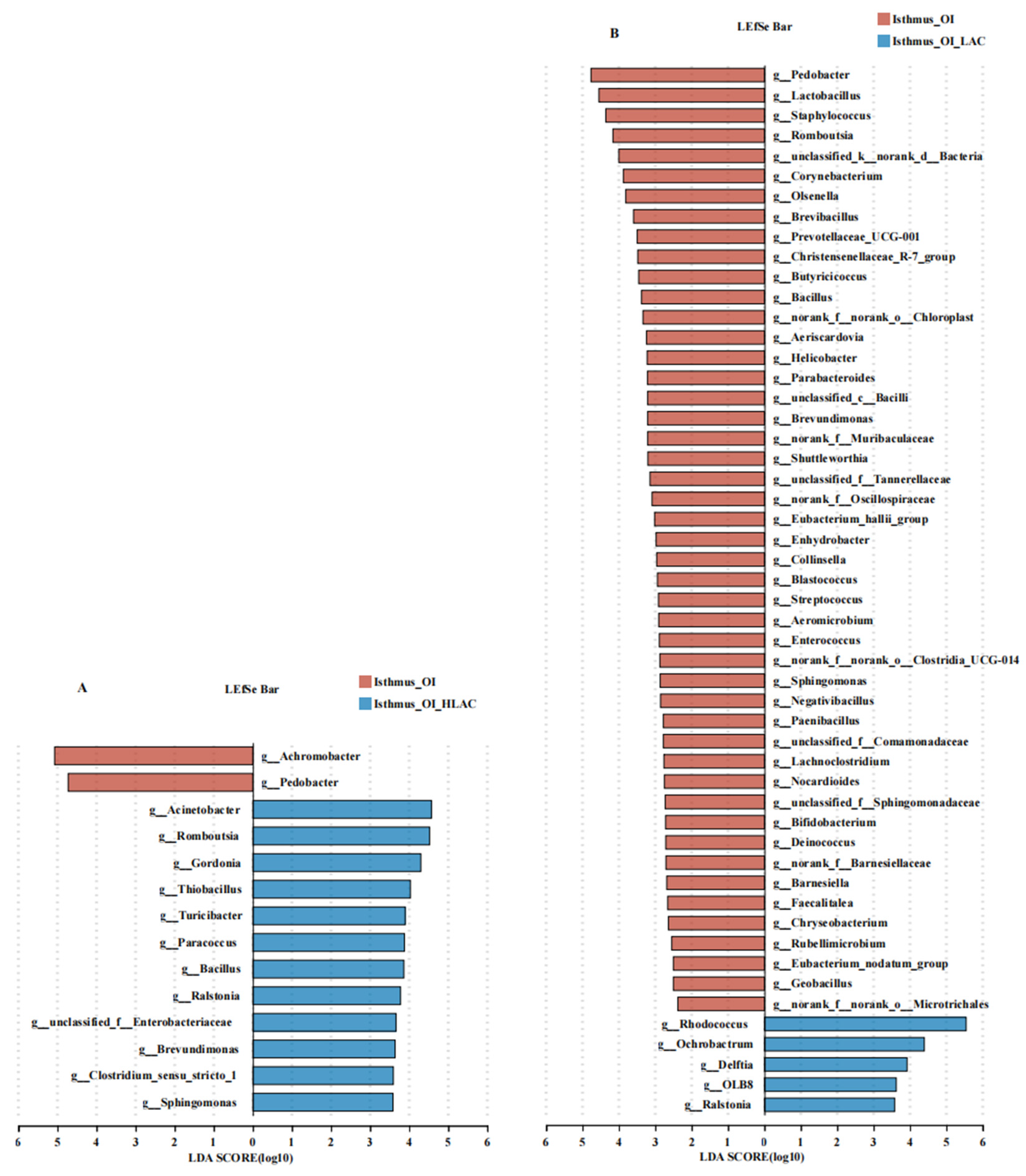 Microorganisms 12 01559 g011 Microorganisms 12 01559 g011
